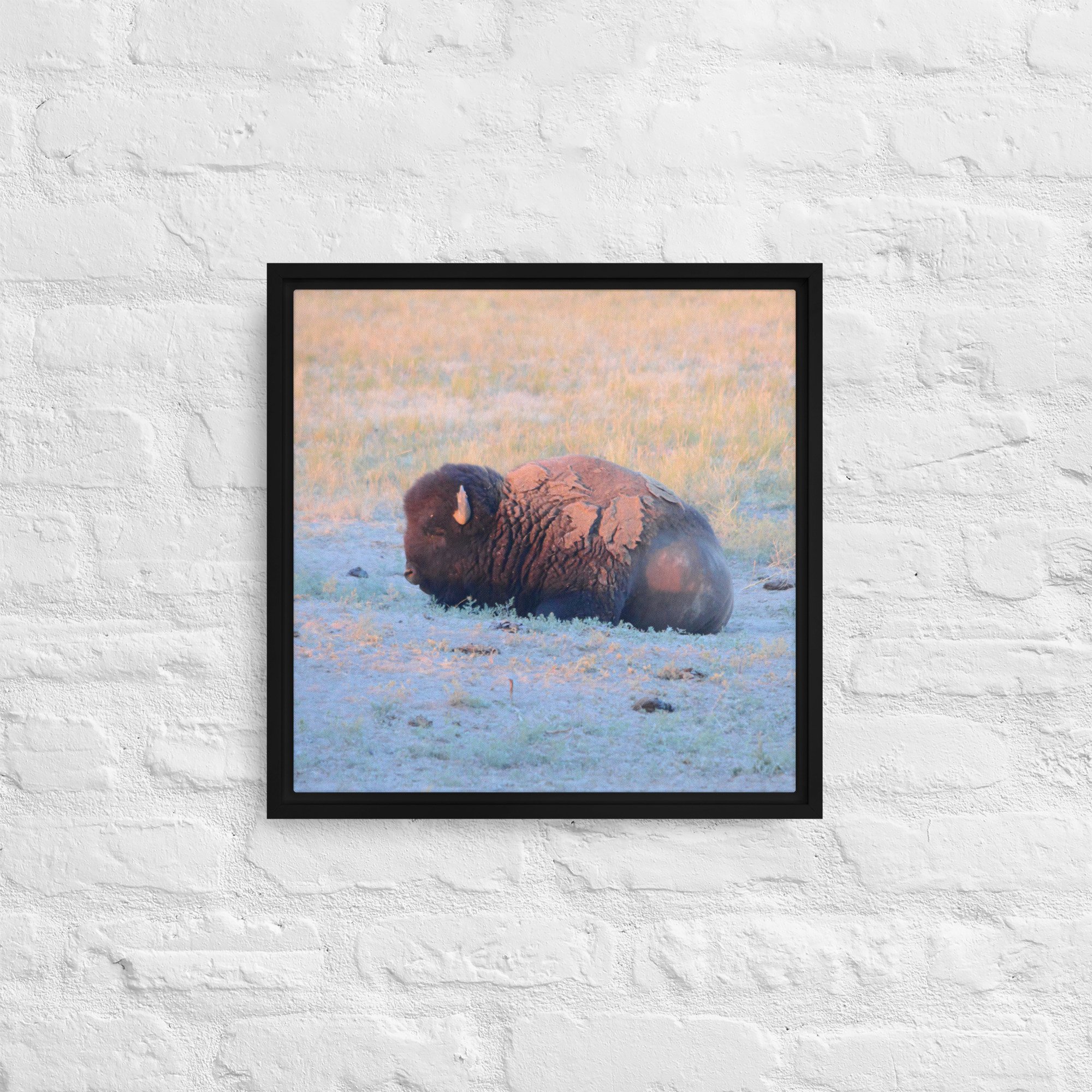framed-canvas-(in)-black-16x16-front-65ee89628e9f4.jpg