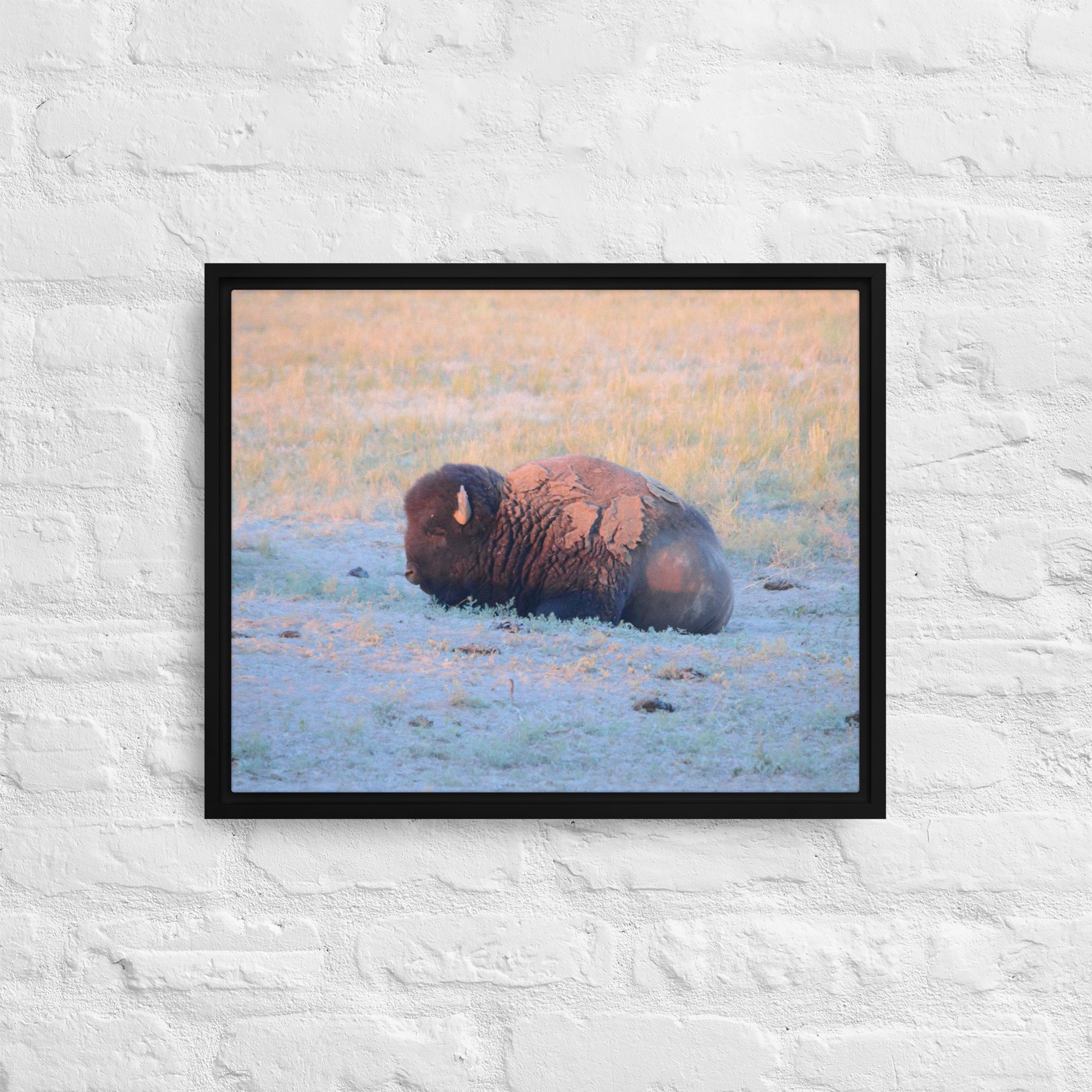 framed-canvas-(in)-black-16x20-front-65ee89628ea66.jpg