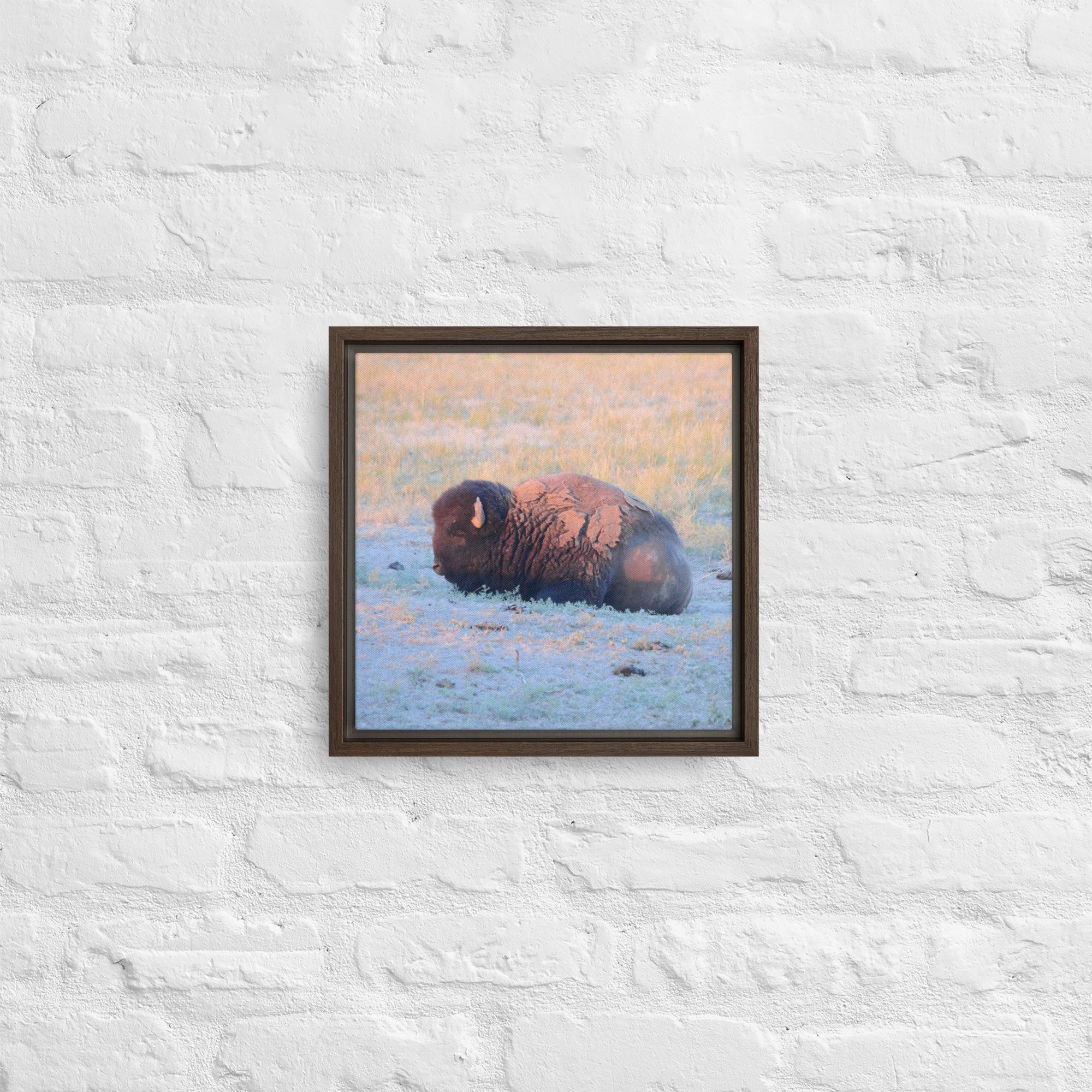 framed-canvas-(in)-brown-12x12-front-65ee89628eb41.jpg