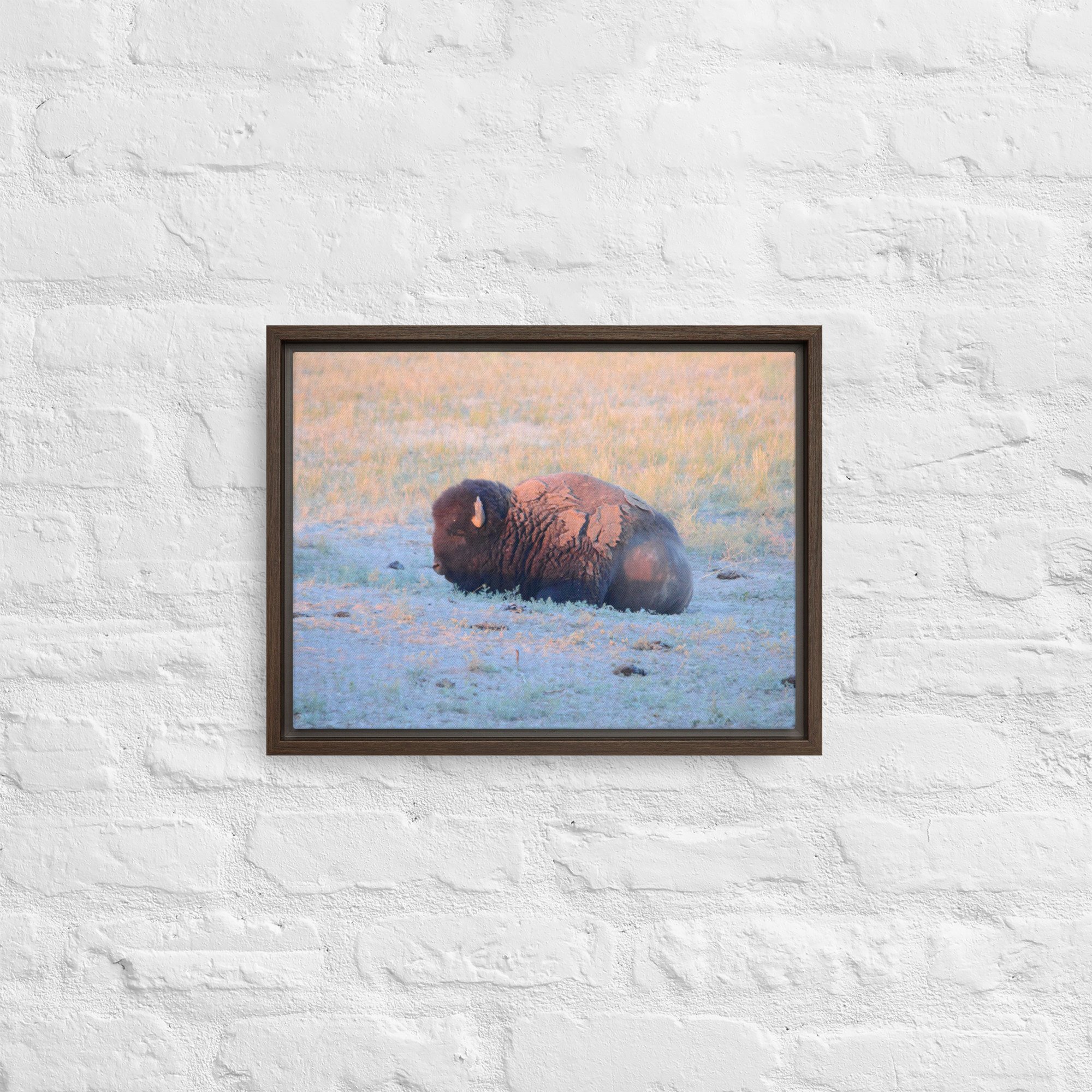 framed-canvas-(in)-brown-12x16-front-65ee89628eb8a.jpg