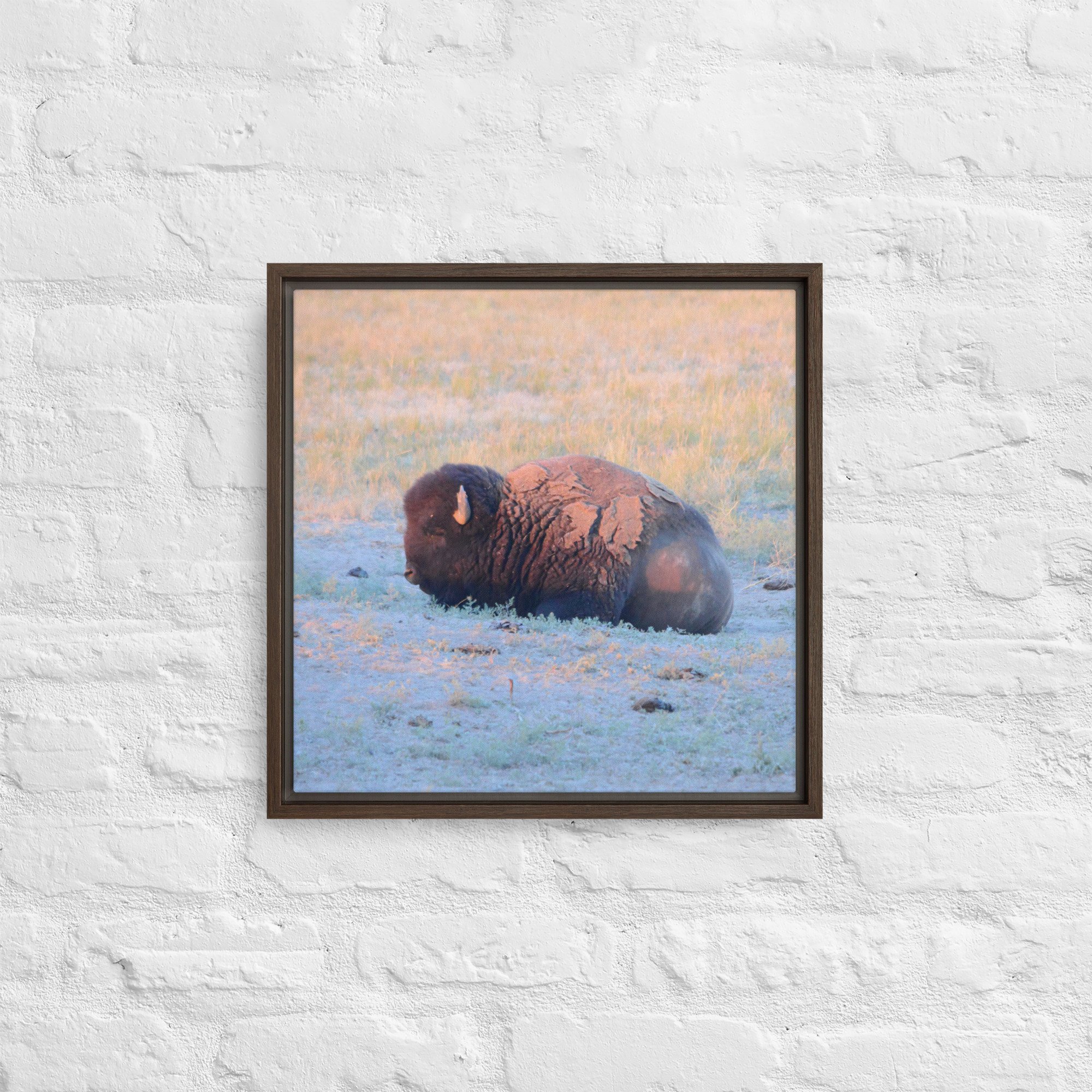 framed-canvas-(in)-brown-16x16-front-65ee89628ebcb.jpg