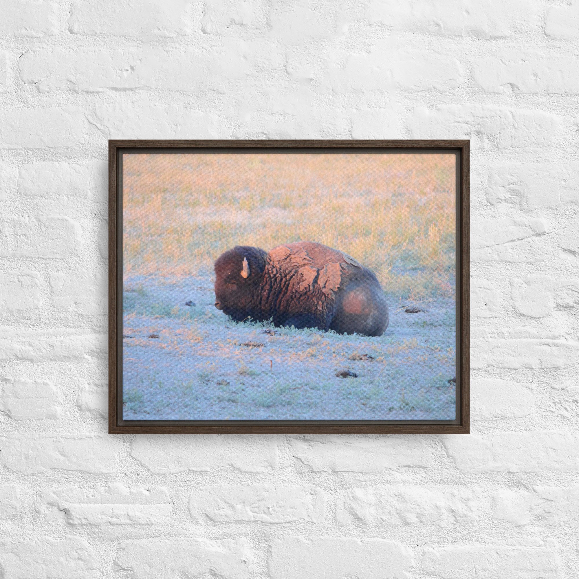 framed-canvas-(in)-brown-16x20-front-65ee89628ec10.jpg