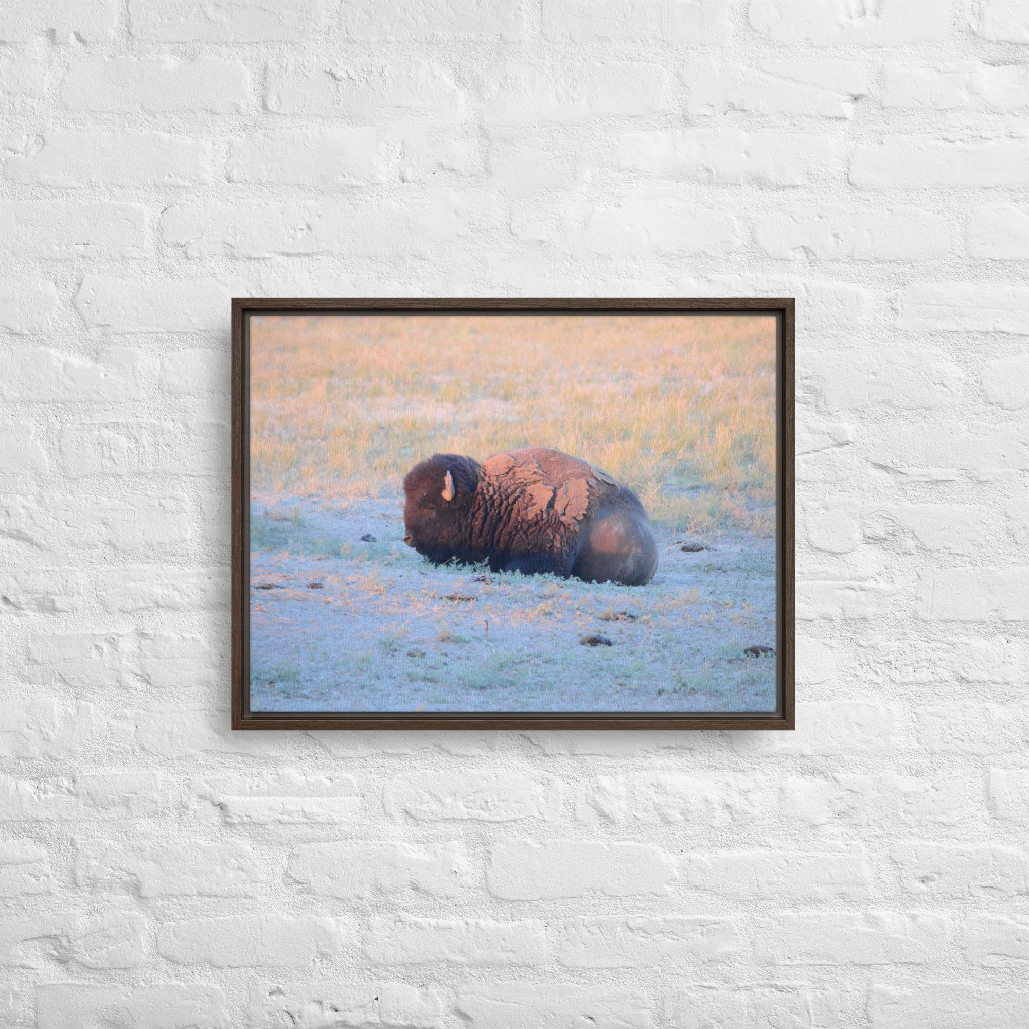 framed-canvas-(in)-brown-18x24-front-65ee89628ec51.jpg