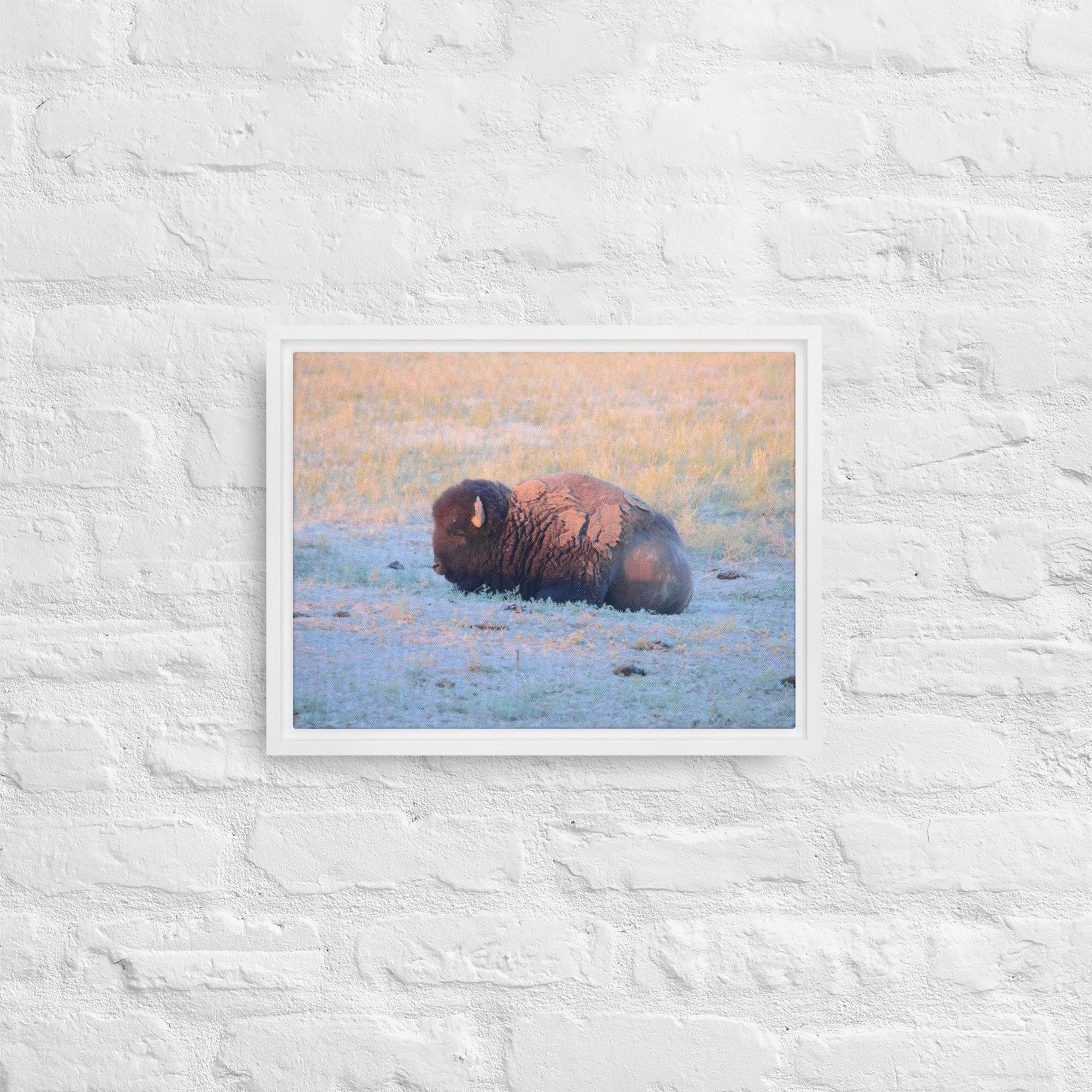 framed-canvas-(in)-white-12x16-front-65ee89628ed0a.jpg