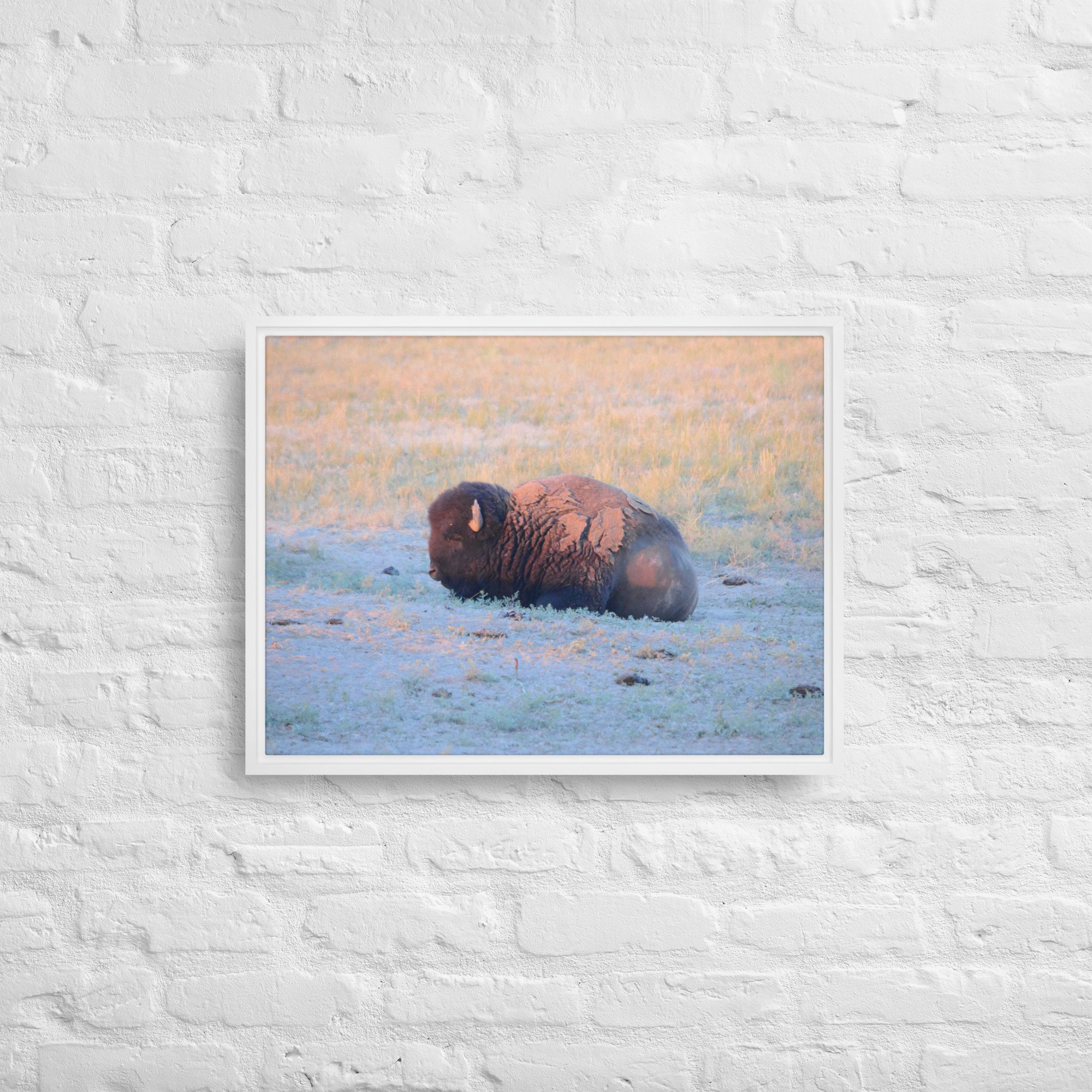 framed-canvas-(in)-white-18x24-front-65ee89628edc0.jpg