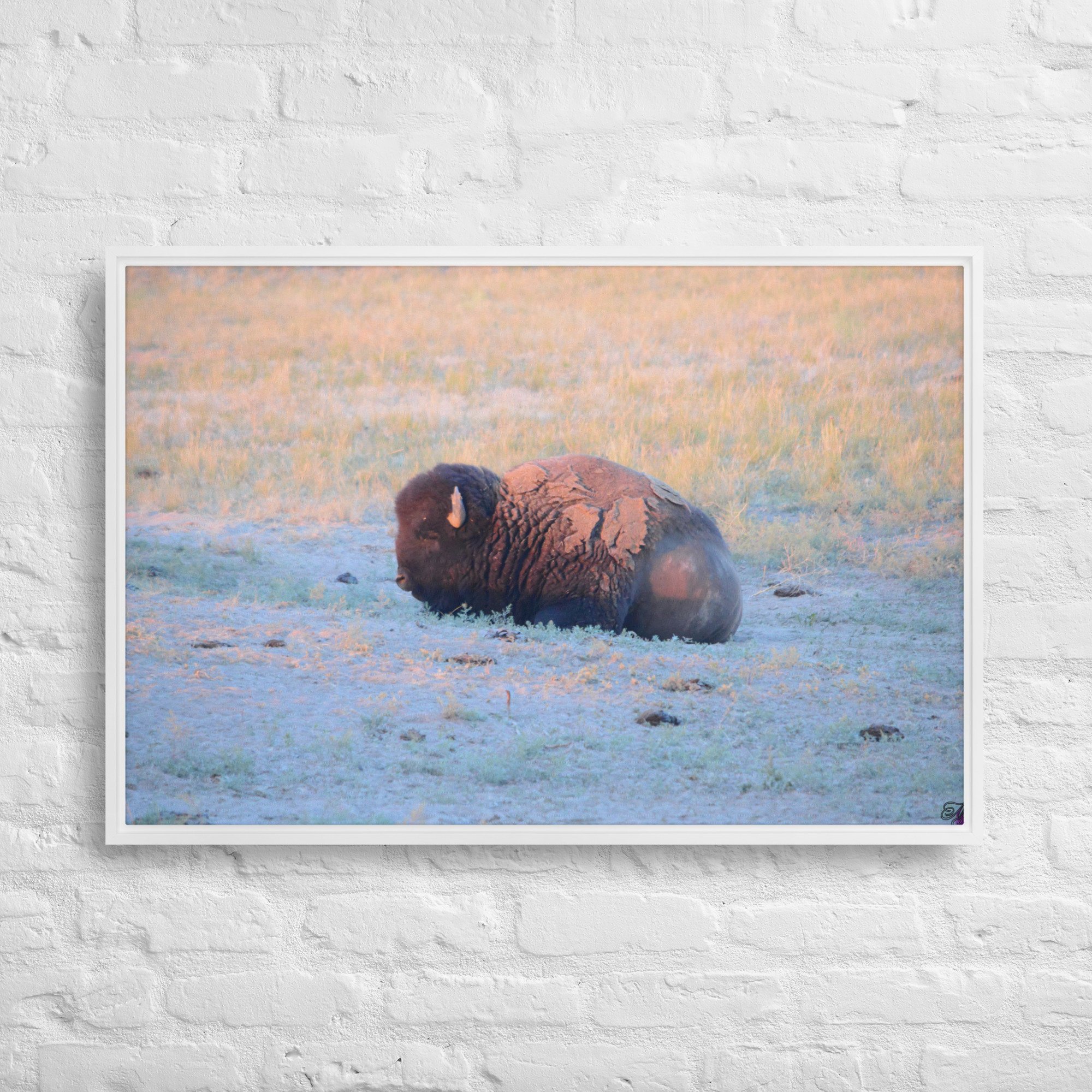 framed-canvas-(in)-white-24x36-front-65ee89628edfd.jpg