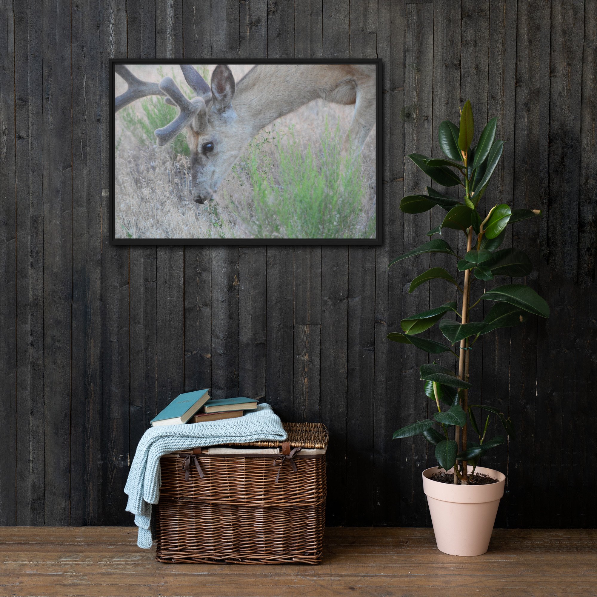 framed-canvas-(in)-black-24x36-front-65ee89c05864d.jpg