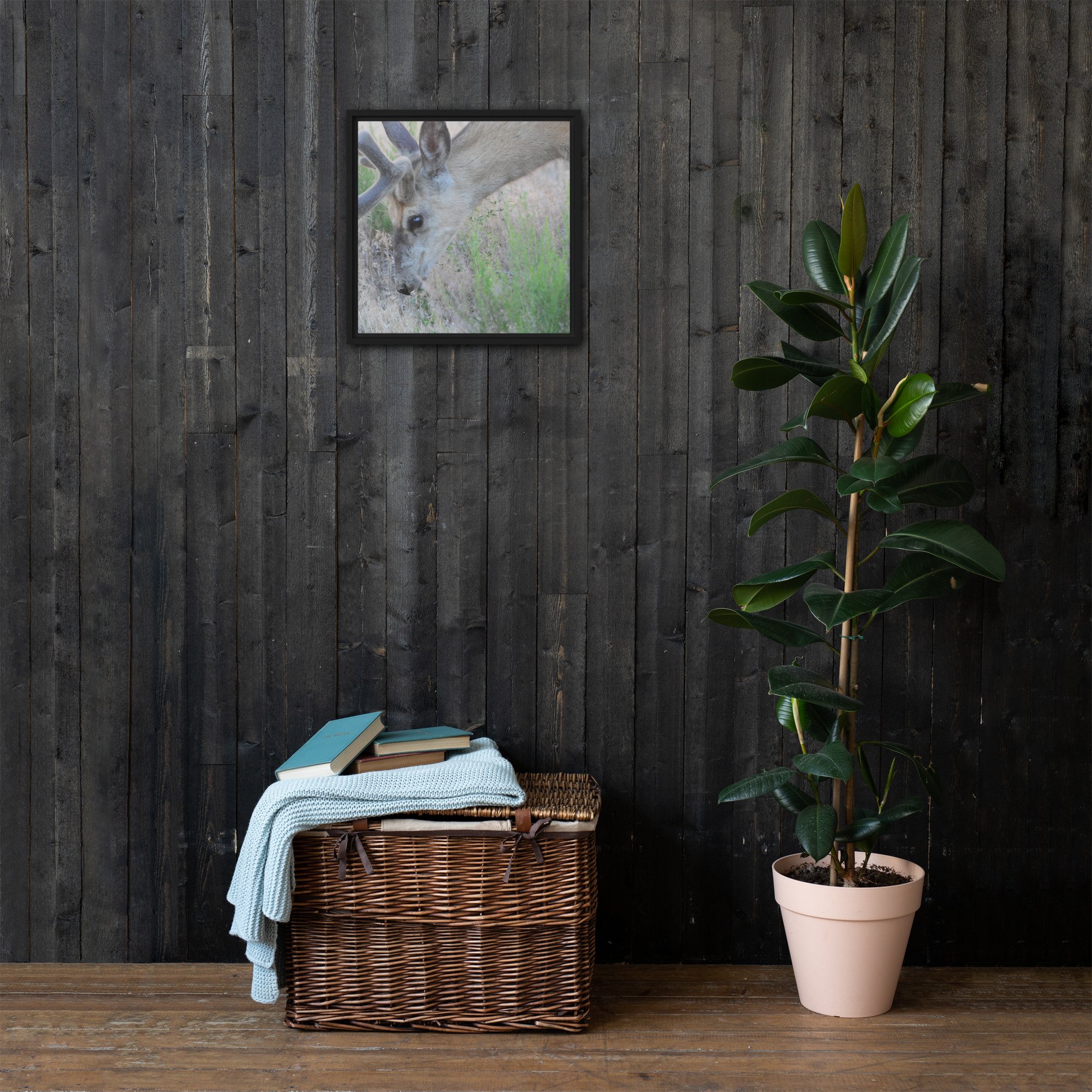 framed-canvas-(in)-black-16x16-front-65ee89c059549.jpg