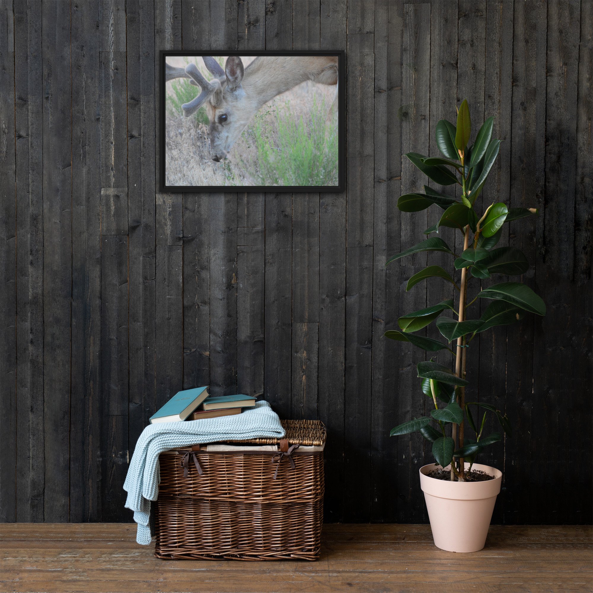 framed-canvas-(in)-black-18x24-front-65ee89c0595e0.jpg