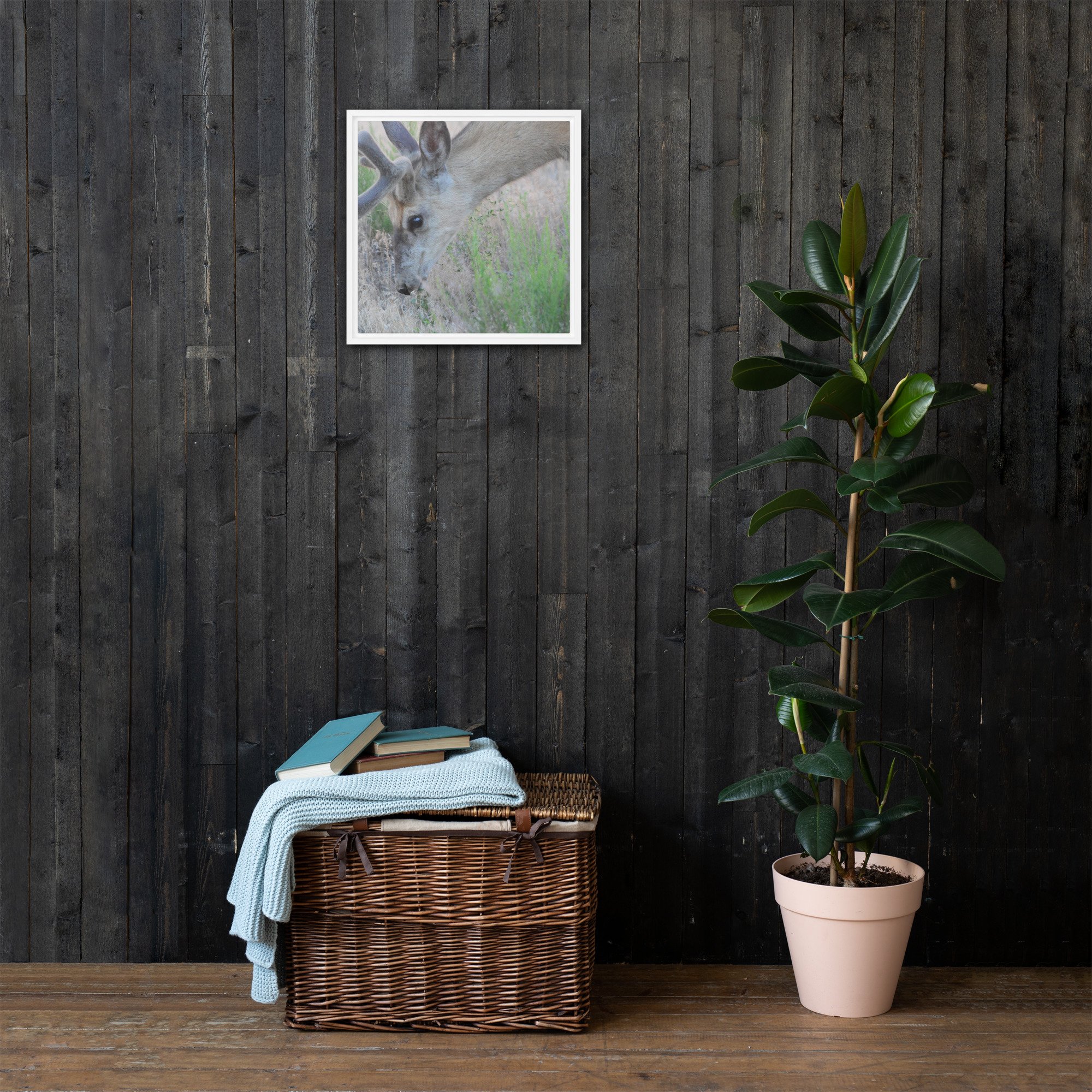 framed-canvas-(in)-white-16x16-front-65ee89c059849.jpg