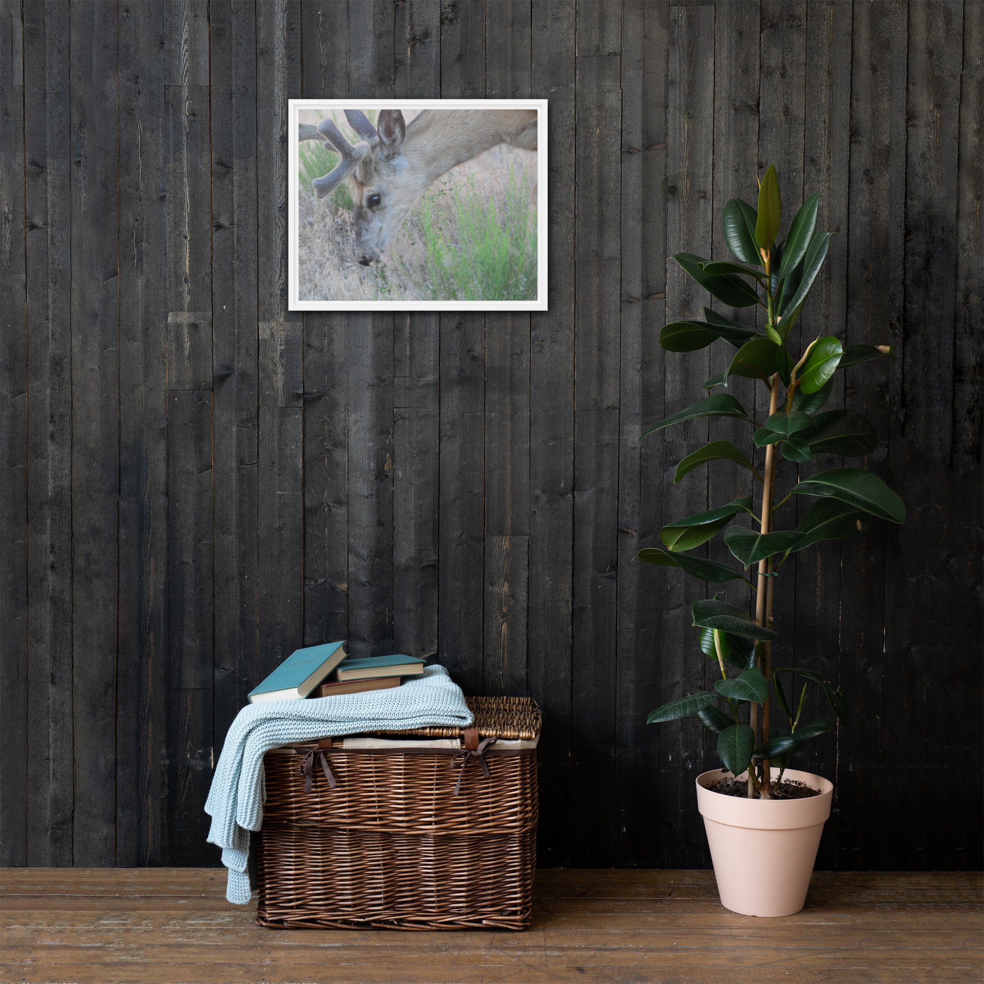 framed-canvas-(in)-white-16x20-front-65ee89c059887.jpg