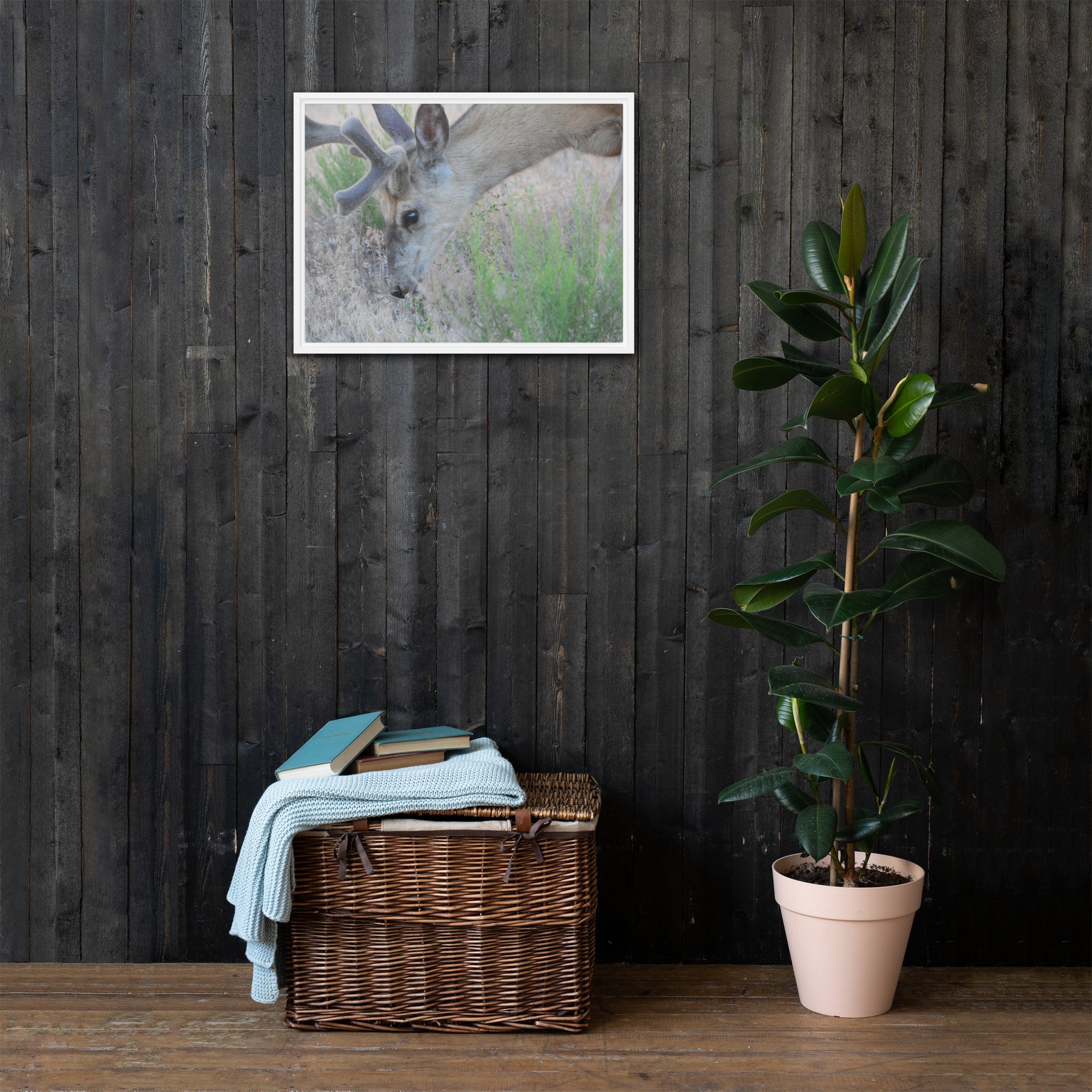 framed-canvas-(in)-white-18x24-front-65ee89c0598c6.jpg