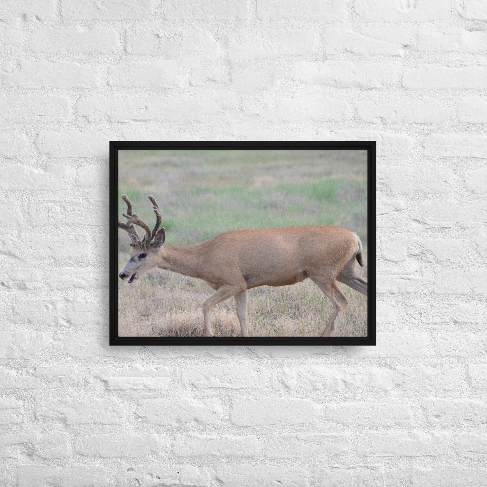 framed-canvas-(in)-black-18x24-front-65ee8a2639b26.jpg
