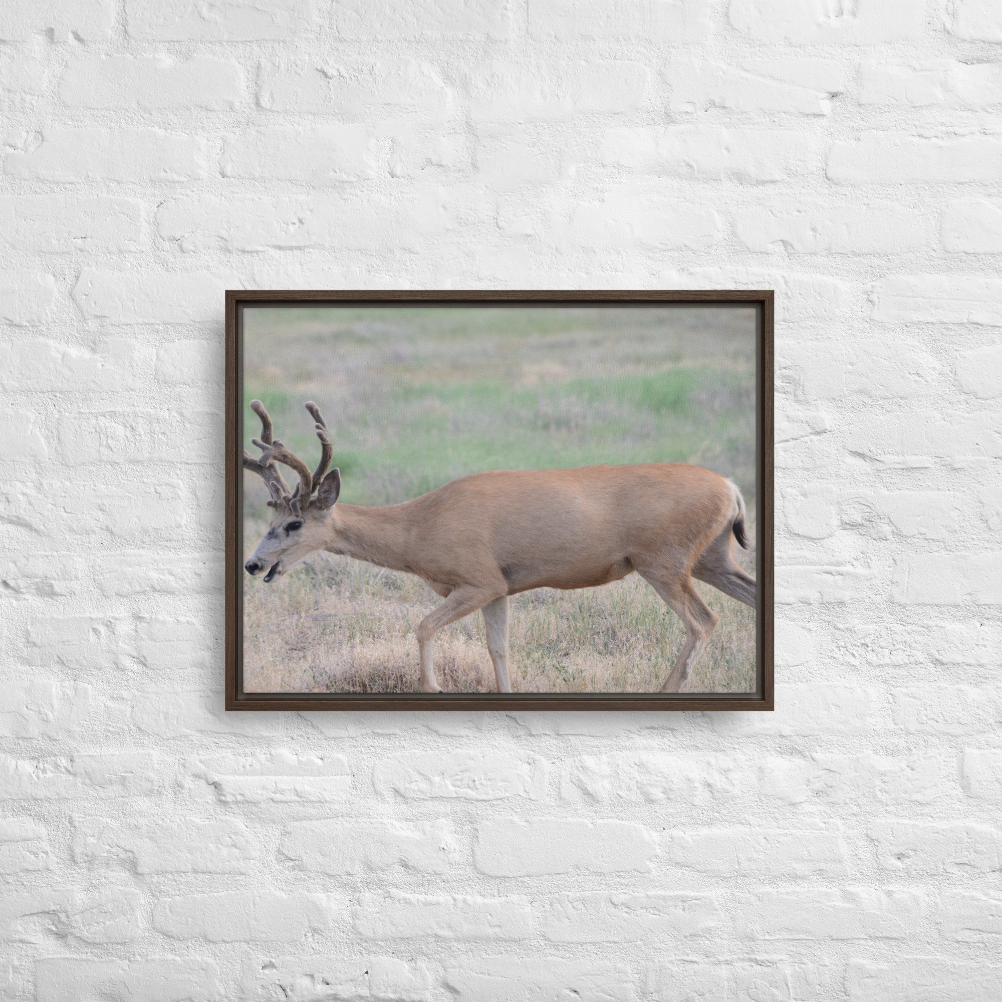 framed-canvas-(in)-brown-18x24-front-65ee8a2639bc0.jpg
