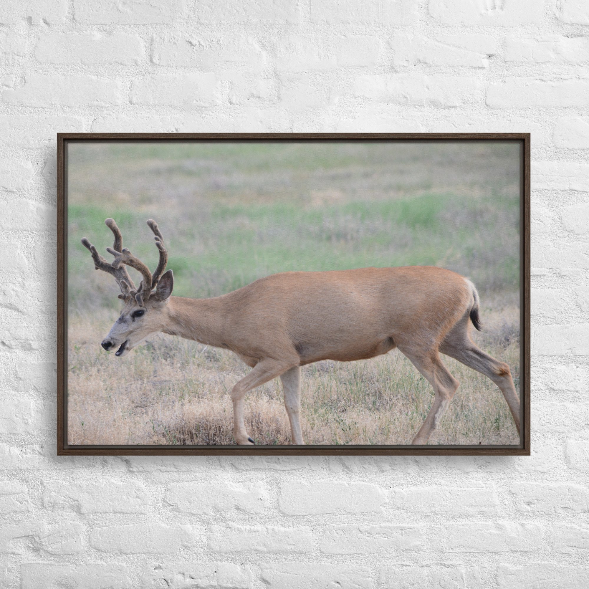 framed-canvas-(in)-brown-24x36-front-65ee8a2639c0c.jpg
