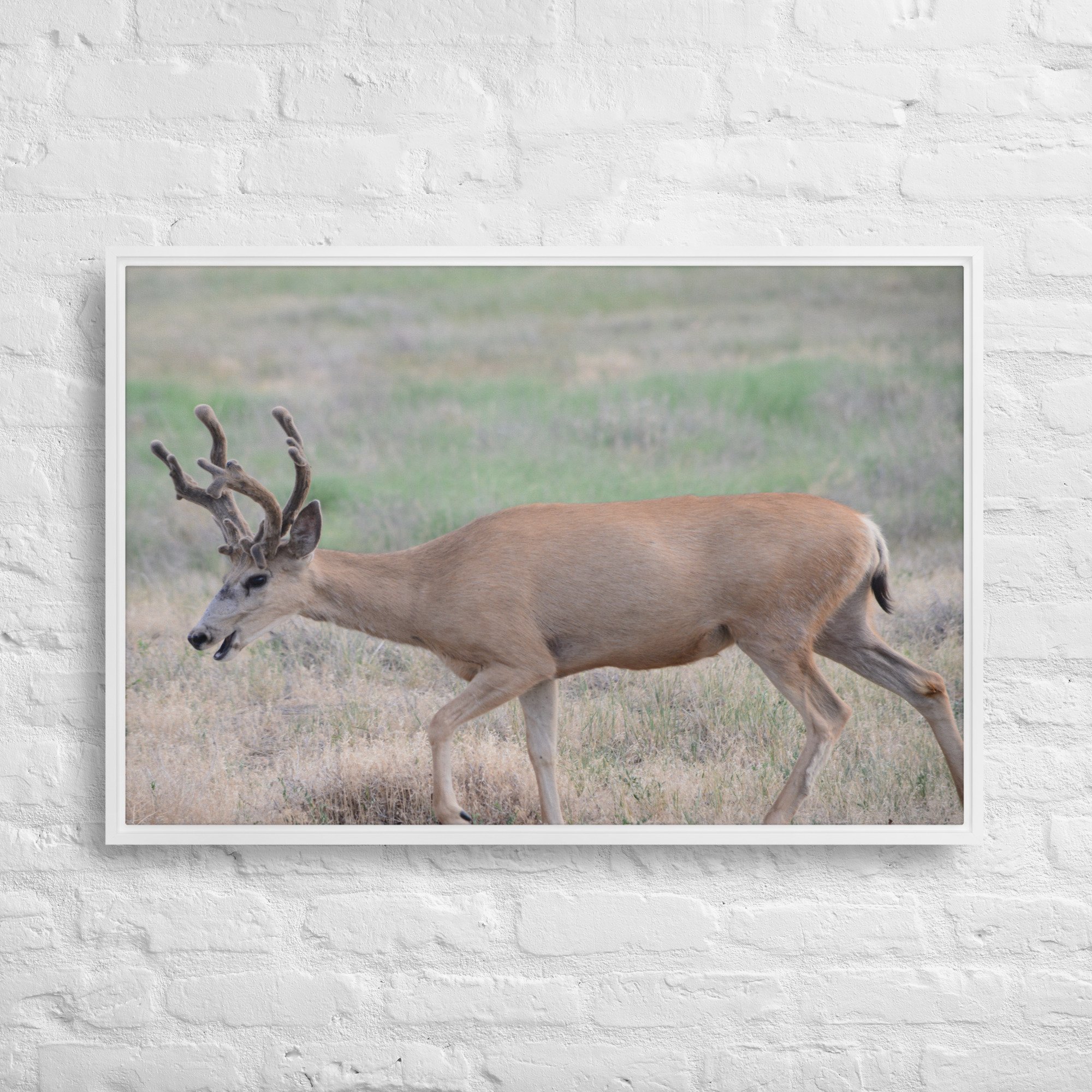 framed-canvas-(in)-white-24x36-front-65ee8a2639c8b.jpg