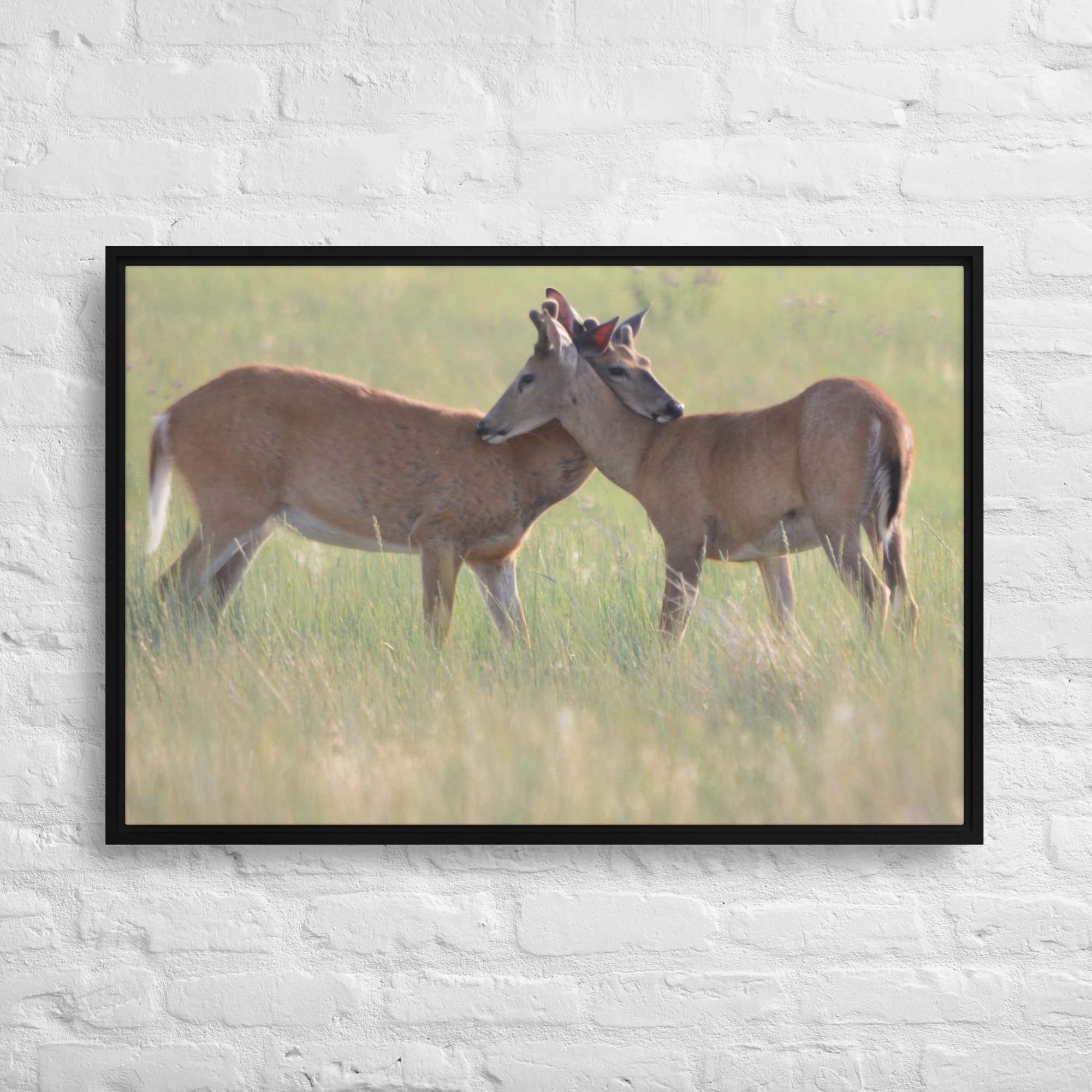 framed-canvas-(in)-black-24x36-front-65ee8b0f4817b.jpg