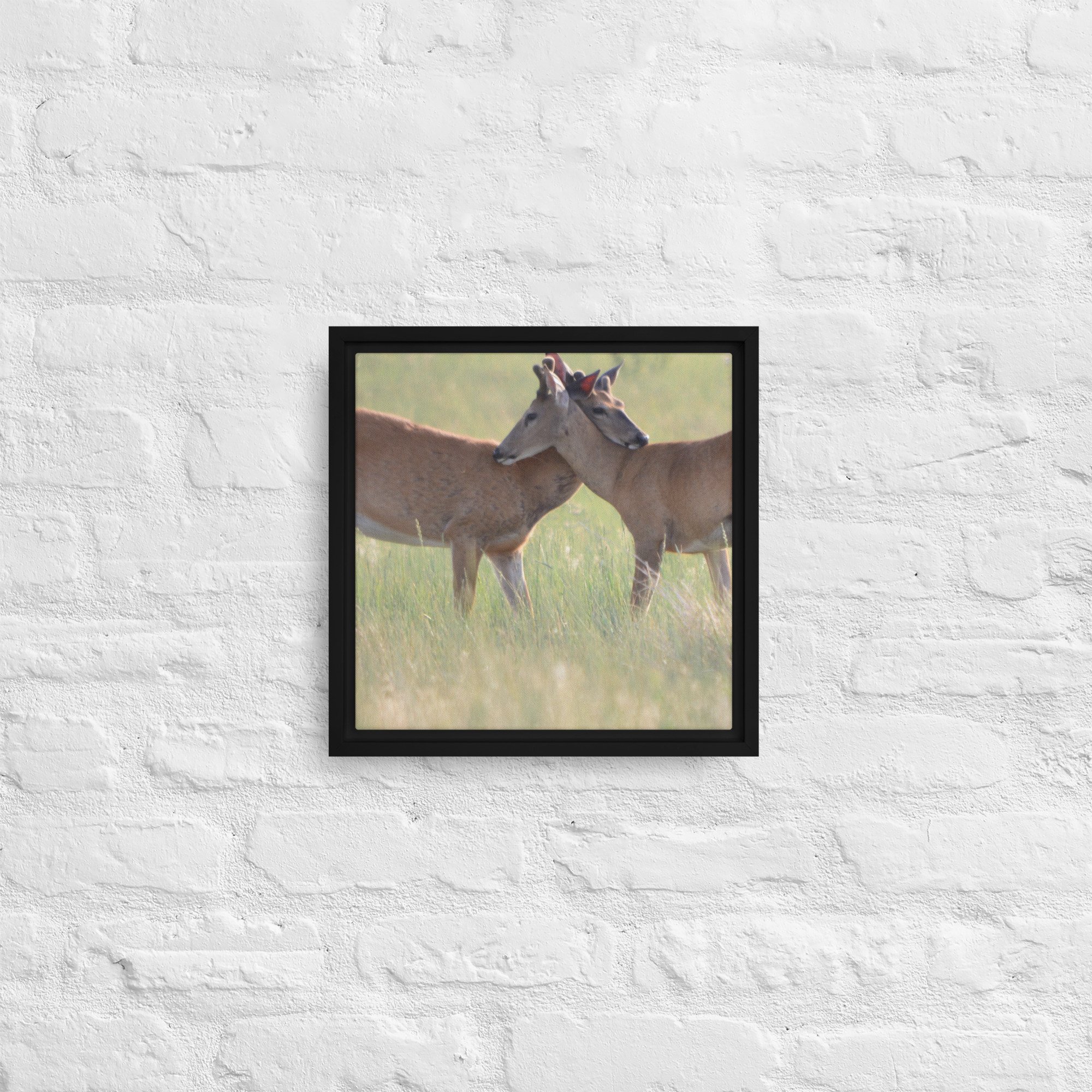 framed-canvas-(in)-black-12x12-front-65ee8b0f48d33.jpg