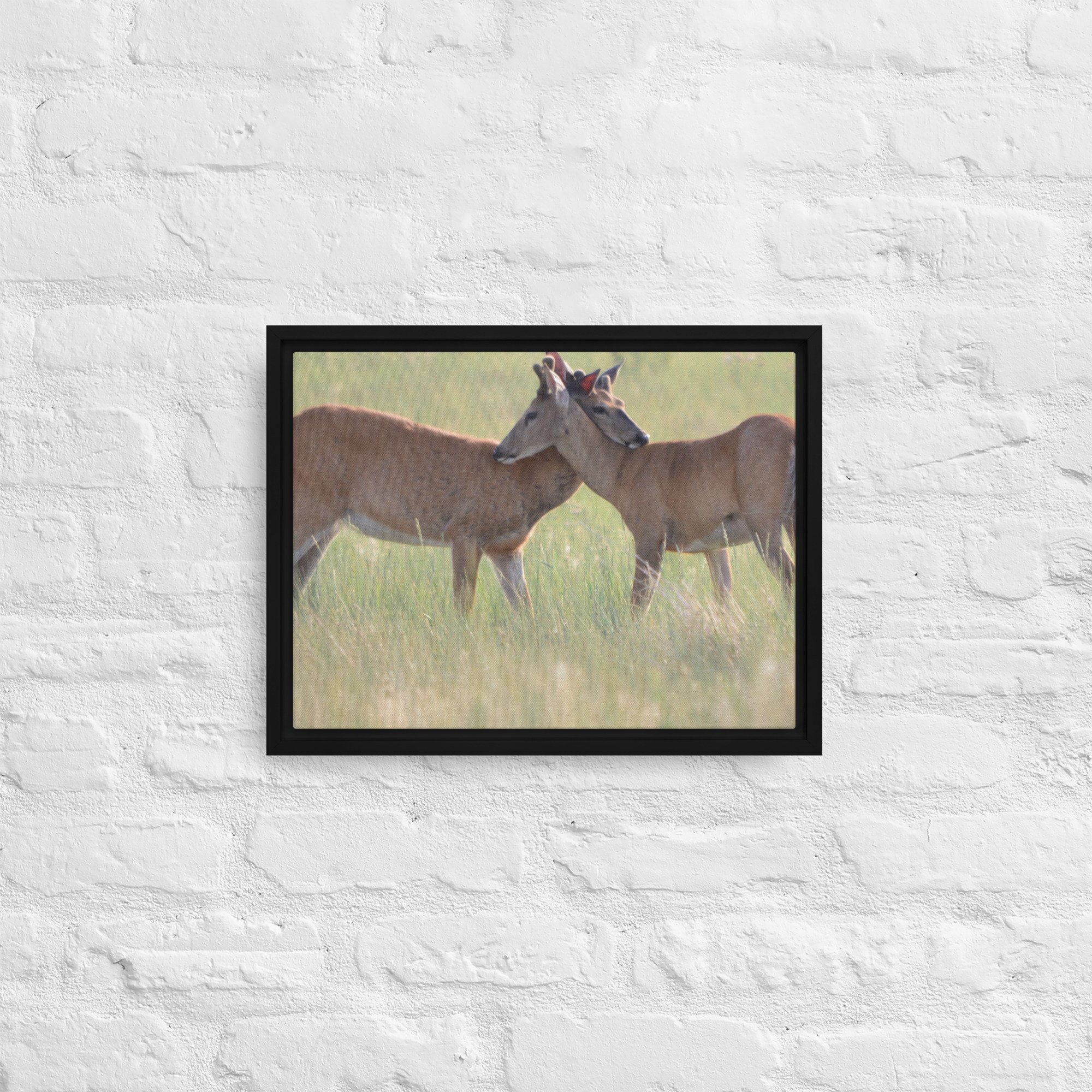 framed-canvas-(in)-black-12x16-front-65ee8b0f48da0.jpg