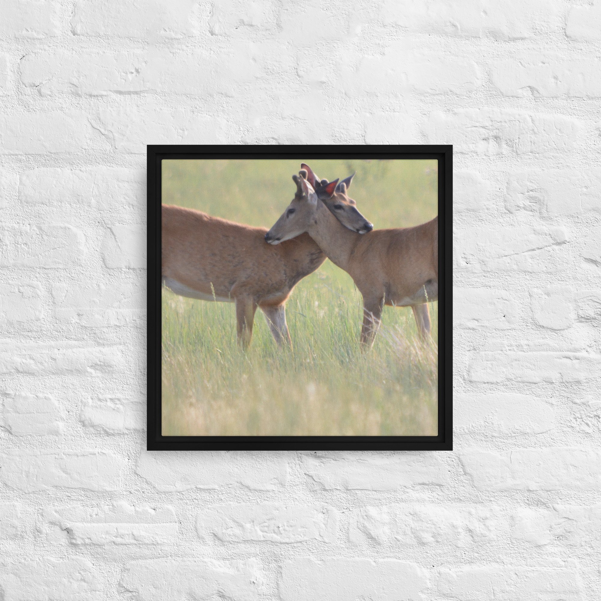 framed-canvas-(in)-black-16x16-front-65ee8b0f48df4.jpg