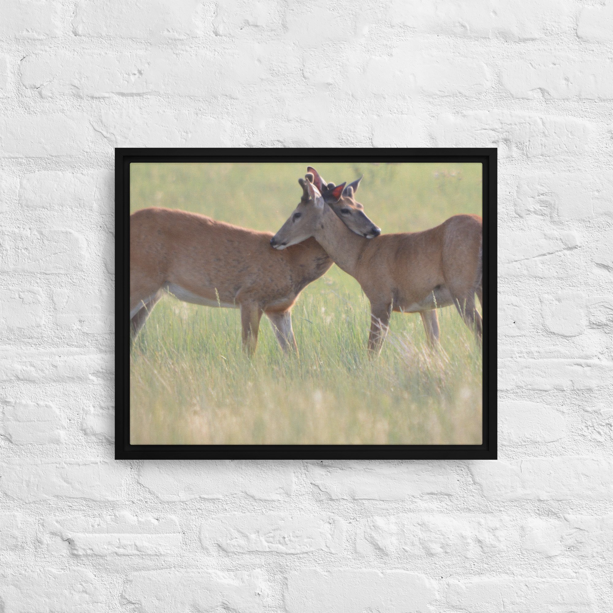 framed-canvas-(in)-black-16x20-front-65ee8b0f48e39.jpg