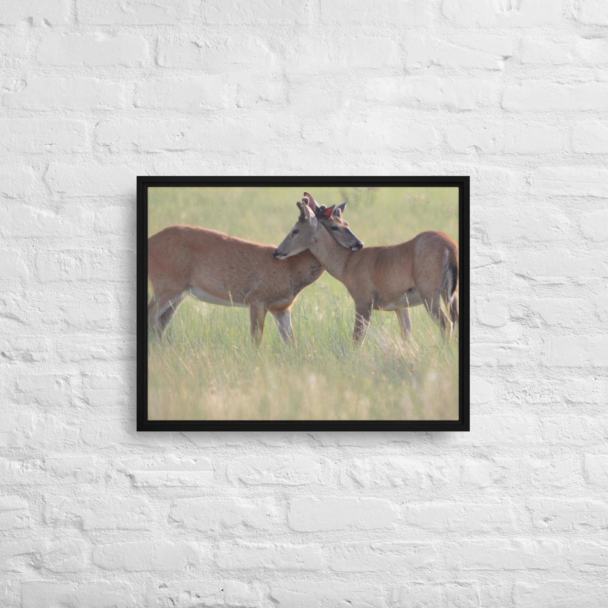 framed-canvas-(in)-black-18x24-front-65ee8b0f48e85.jpg