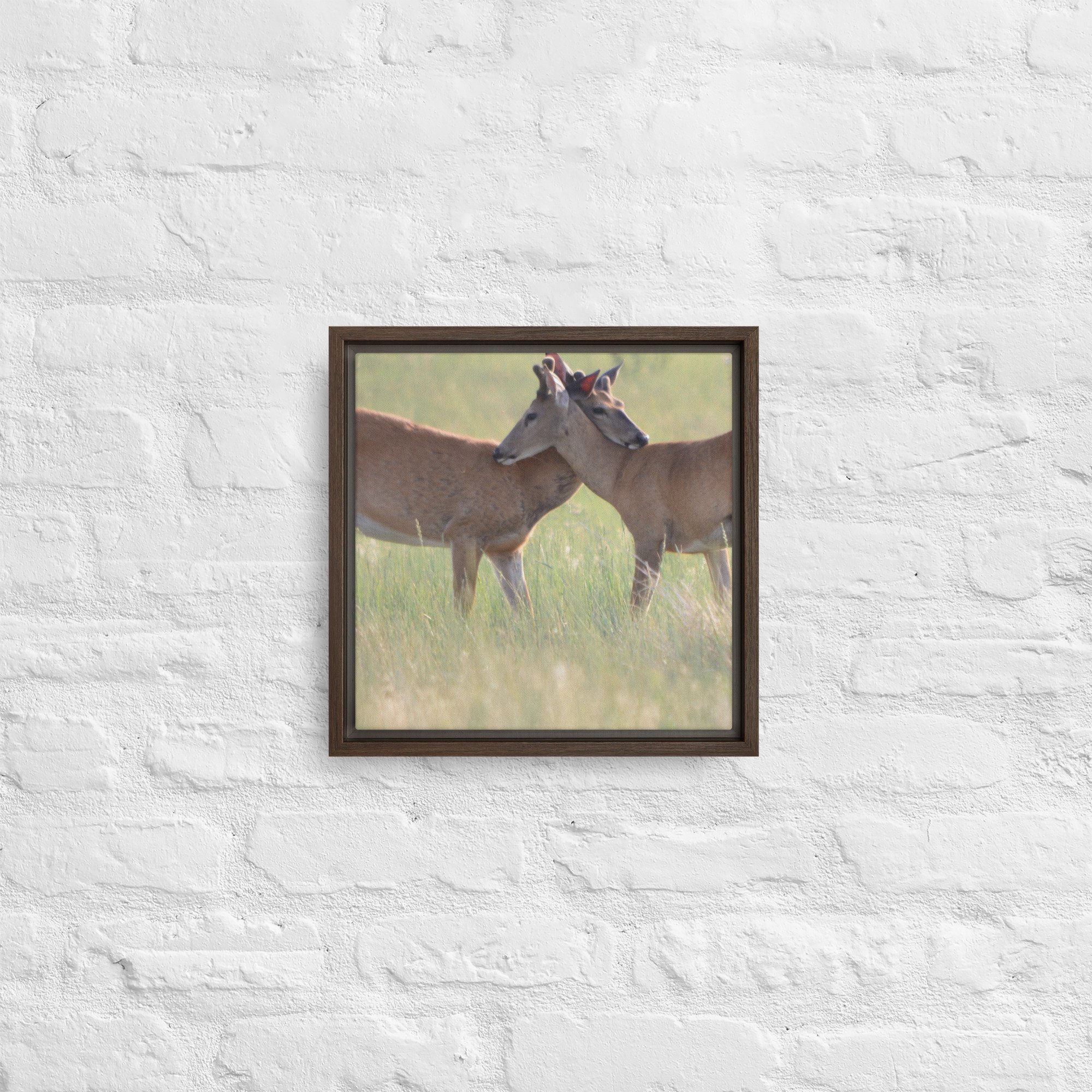 framed-canvas-(in)-brown-12x12-front-65ee8b0f48efa.jpg