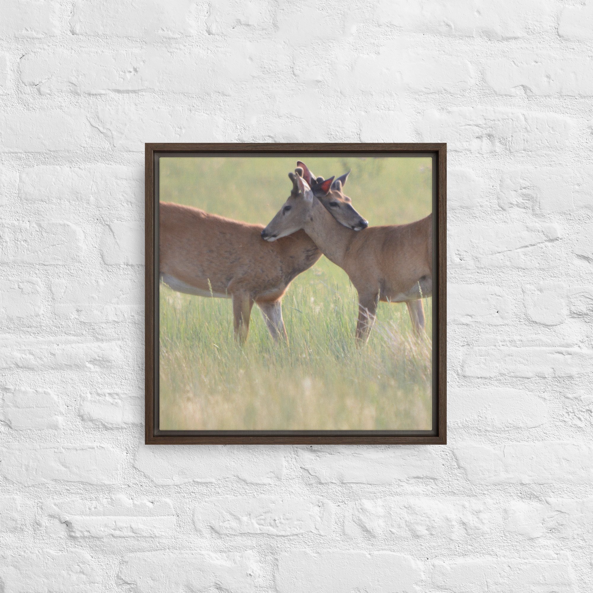 framed-canvas-(in)-brown-16x16-front-65ee8b0f48f82.jpg
