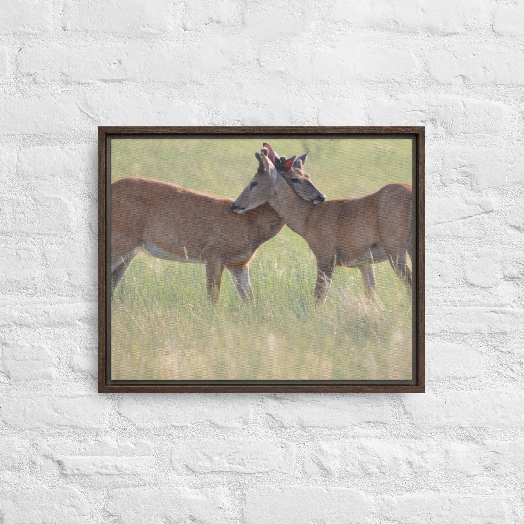 framed-canvas-(in)-brown-16x20-front-65ee8b0f48fc3.jpg