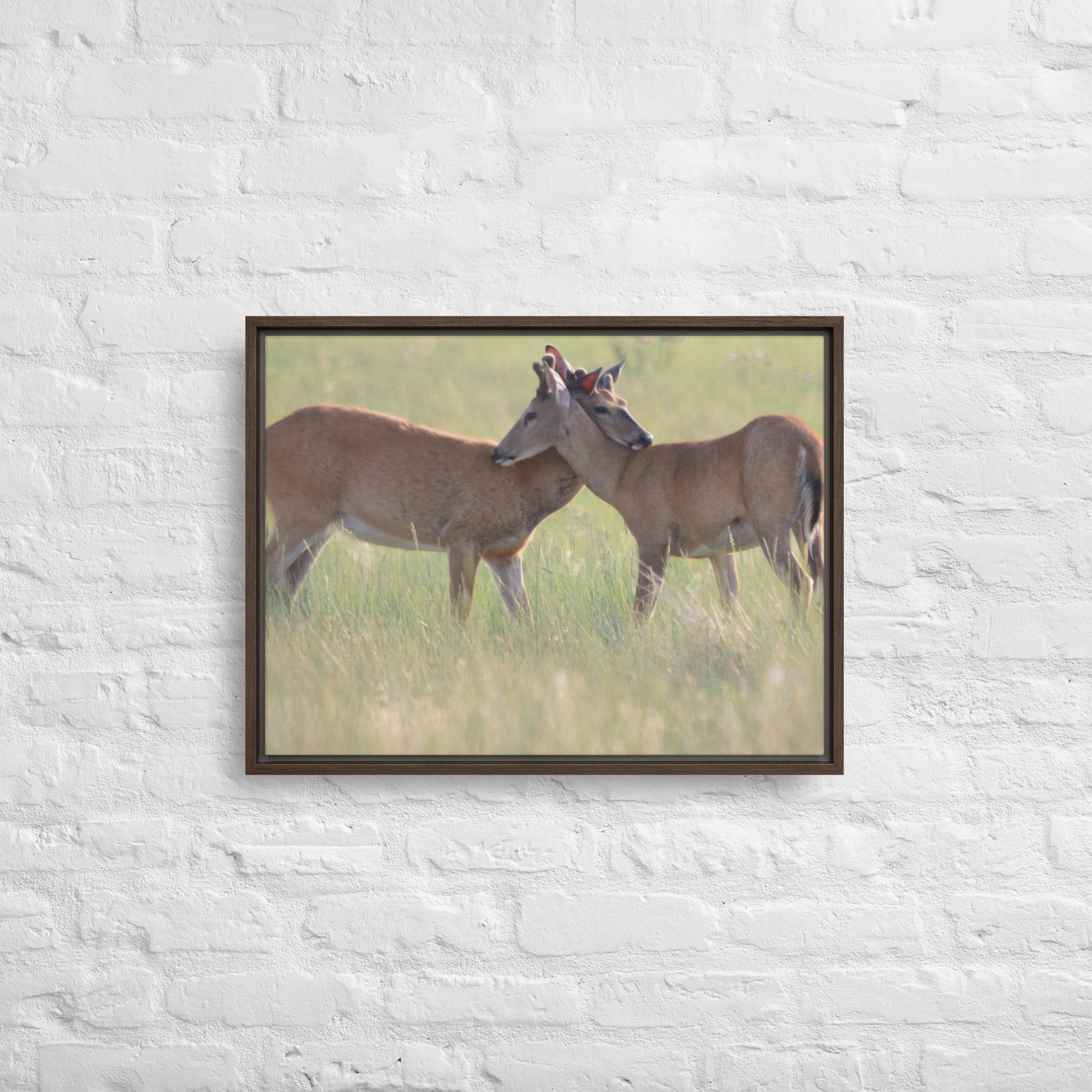 framed-canvas-(in)-brown-18x24-front-65ee8b0f49002.jpg