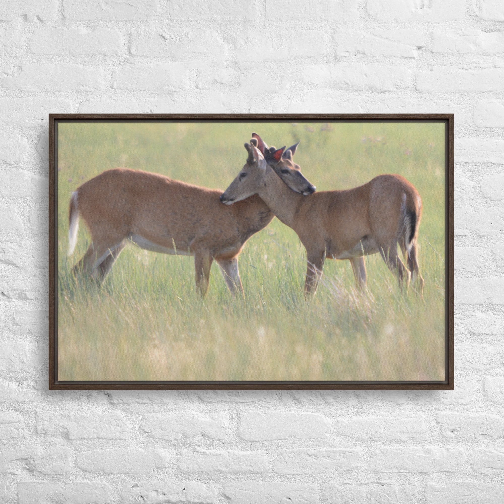 framed-canvas-(in)-brown-24x36-front-65ee8b0f49042.jpg