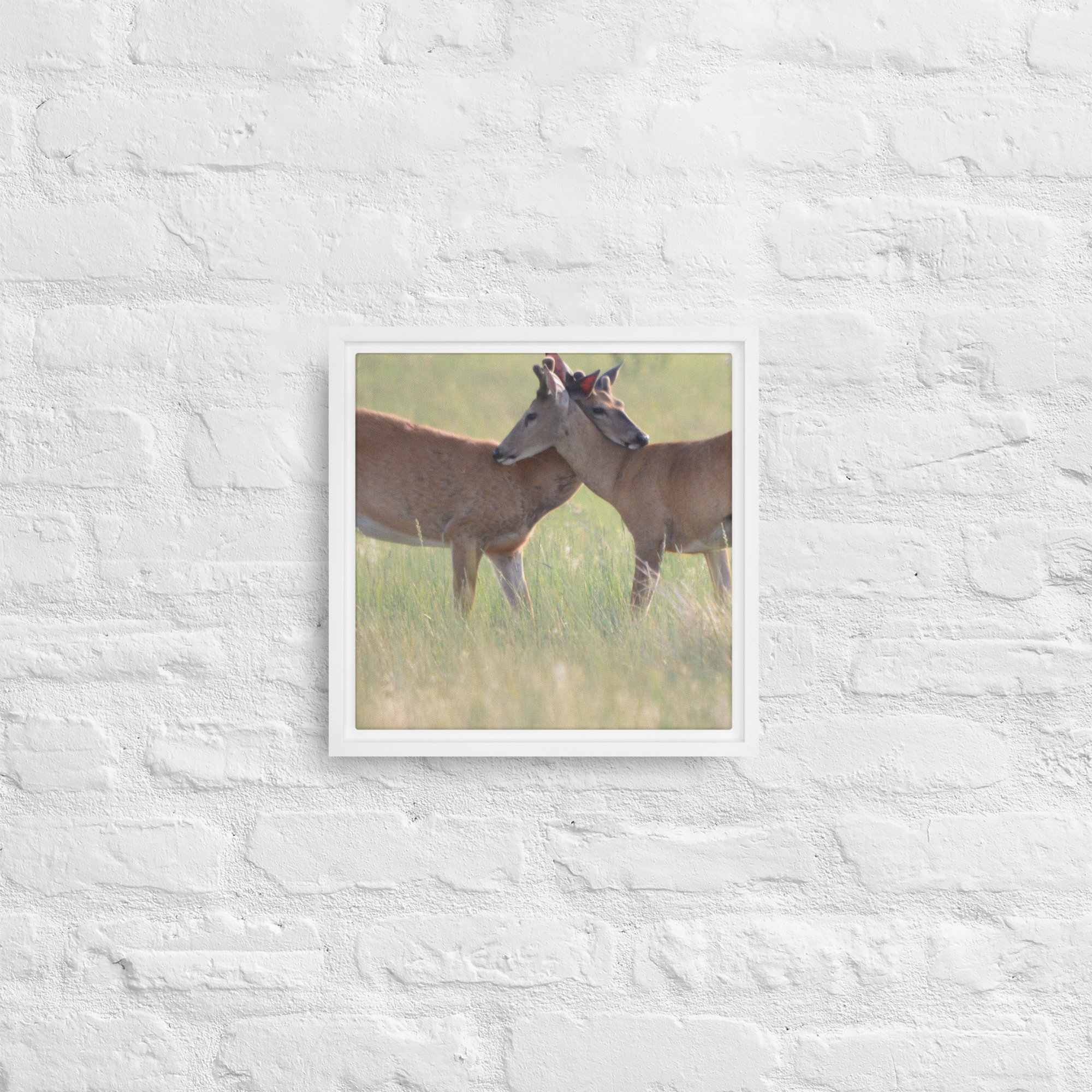 framed-canvas-(in)-white-12x12-front-65ee8b0f49080.jpg