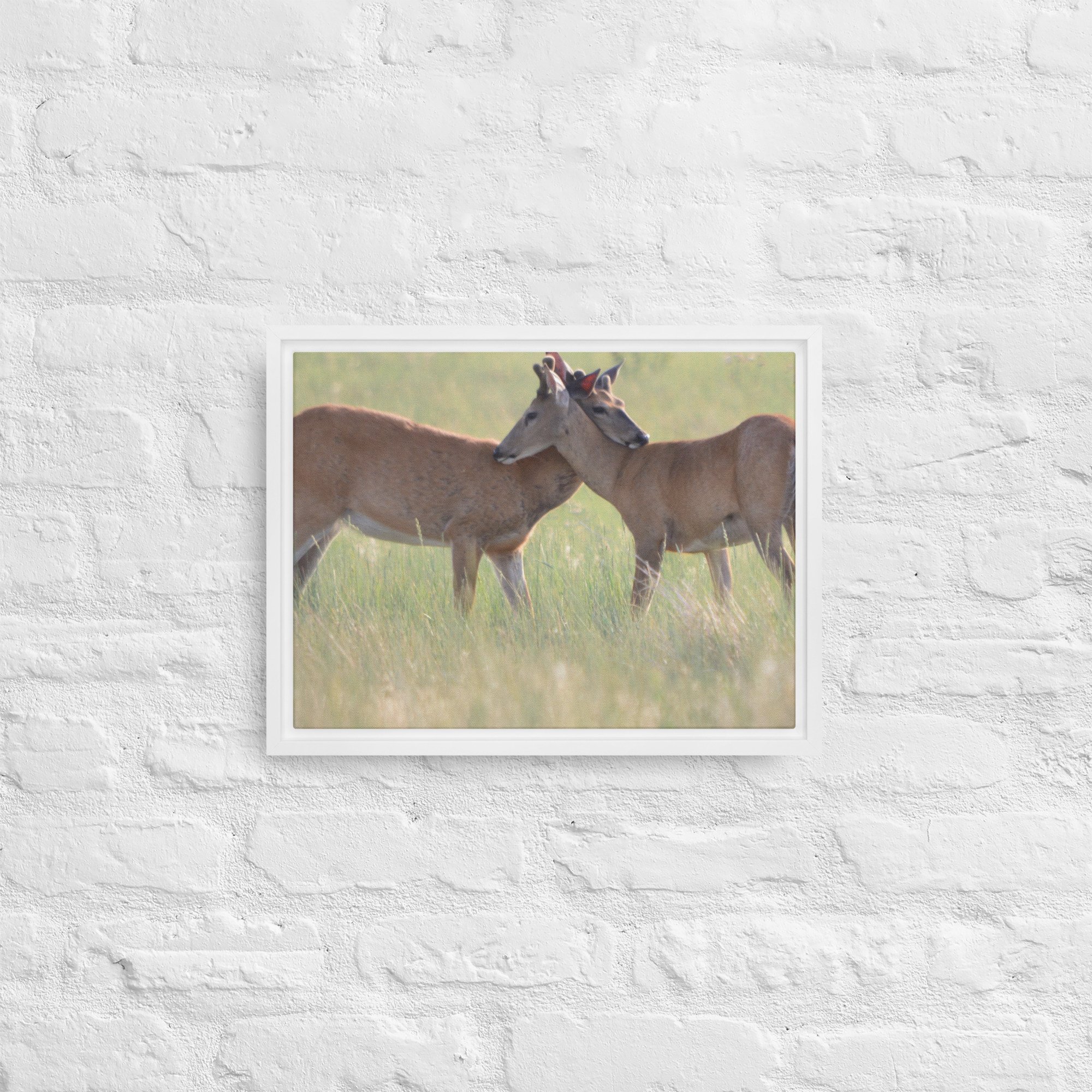 framed-canvas-(in)-white-12x16-front-65ee8b0f490bf.jpg