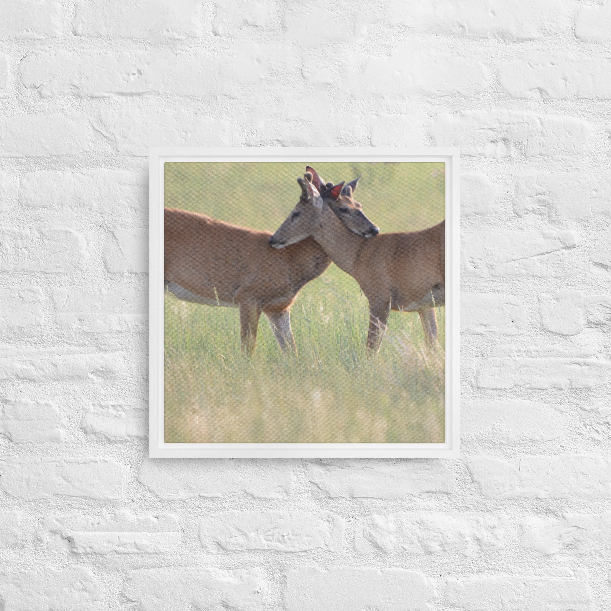 framed-canvas-(in)-white-16x16-front-65ee8b0f490fd.jpg