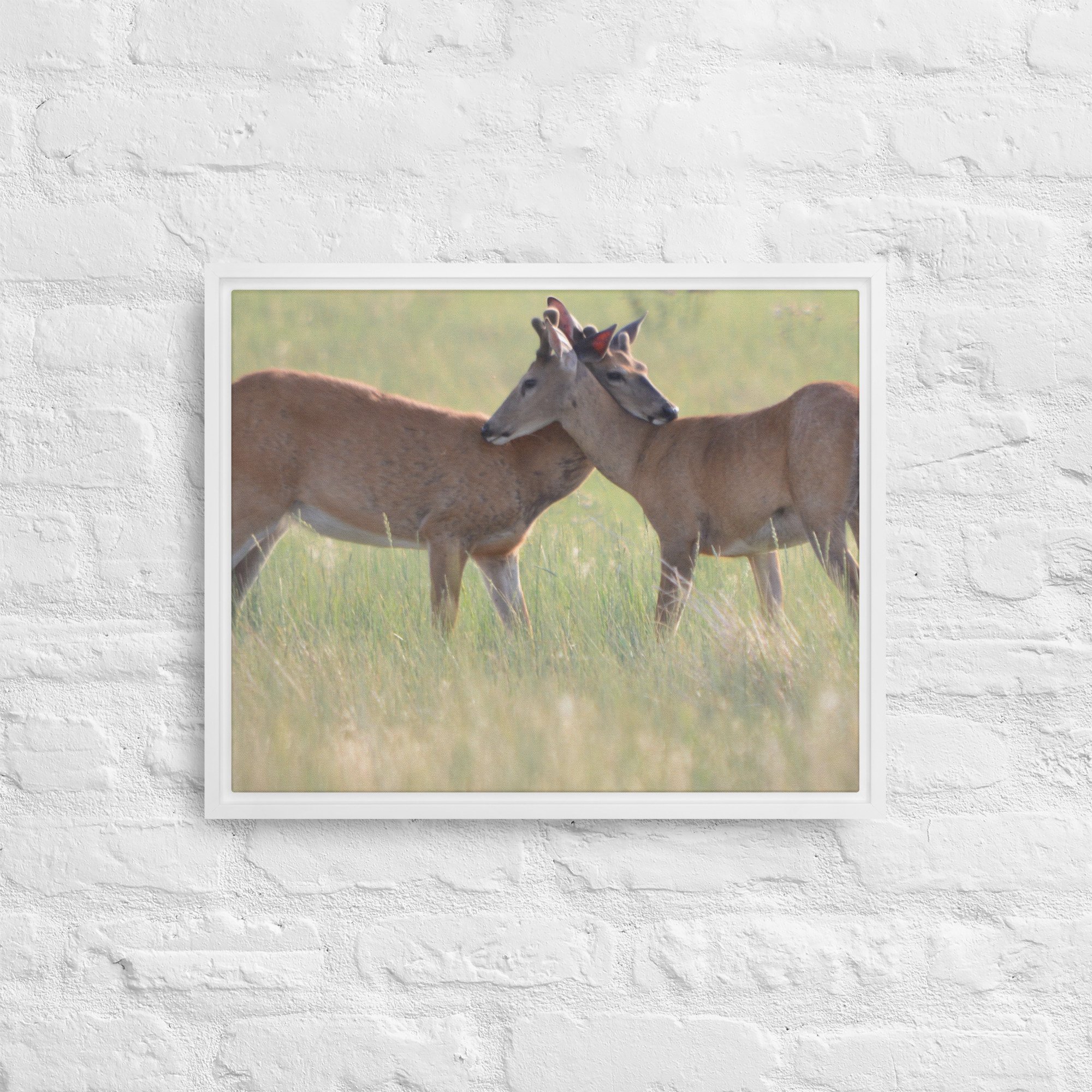 framed-canvas-(in)-white-16x20-front-65ee8b0f49143.jpg