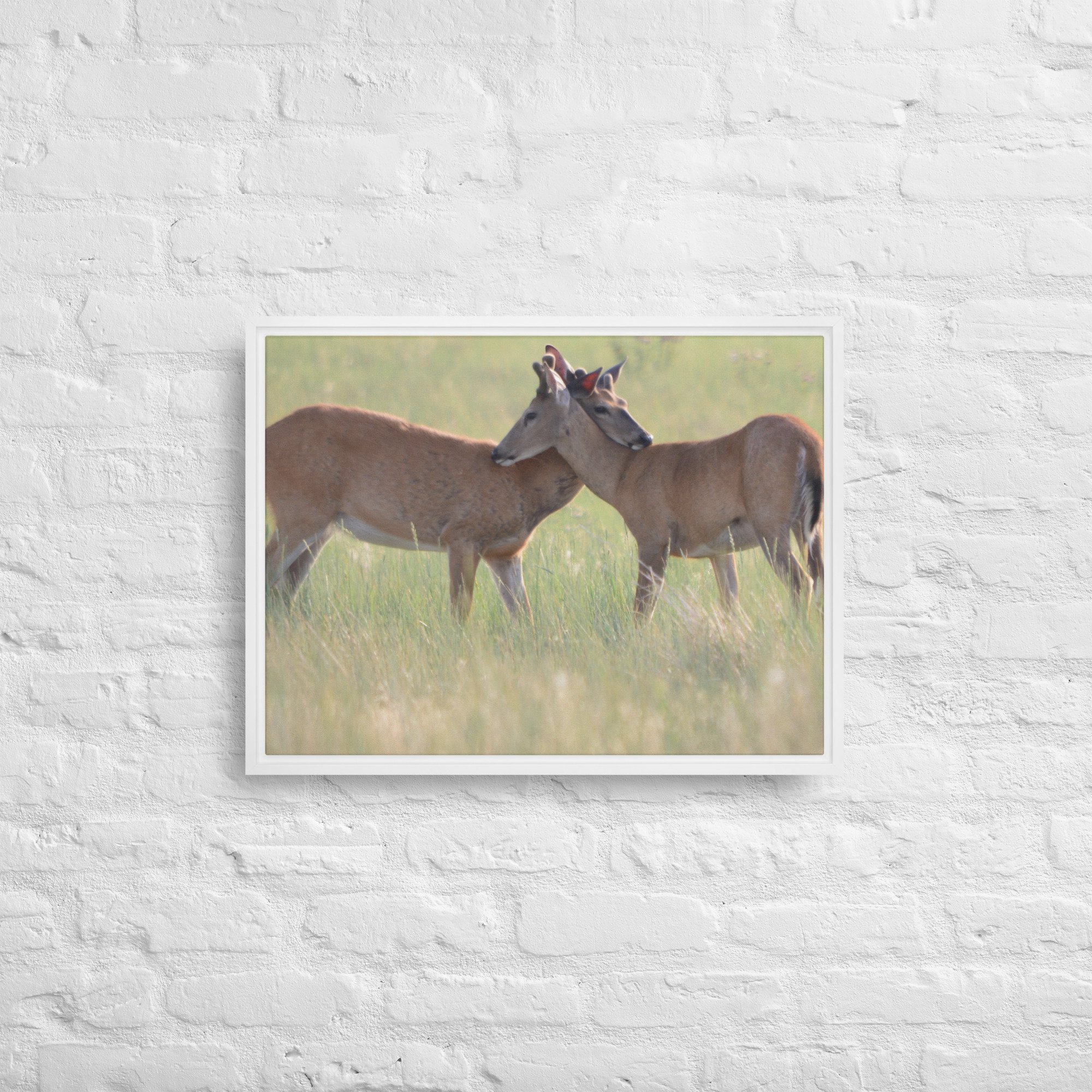 framed-canvas-(in)-white-18x24-front-65ee8b0f49182.jpg