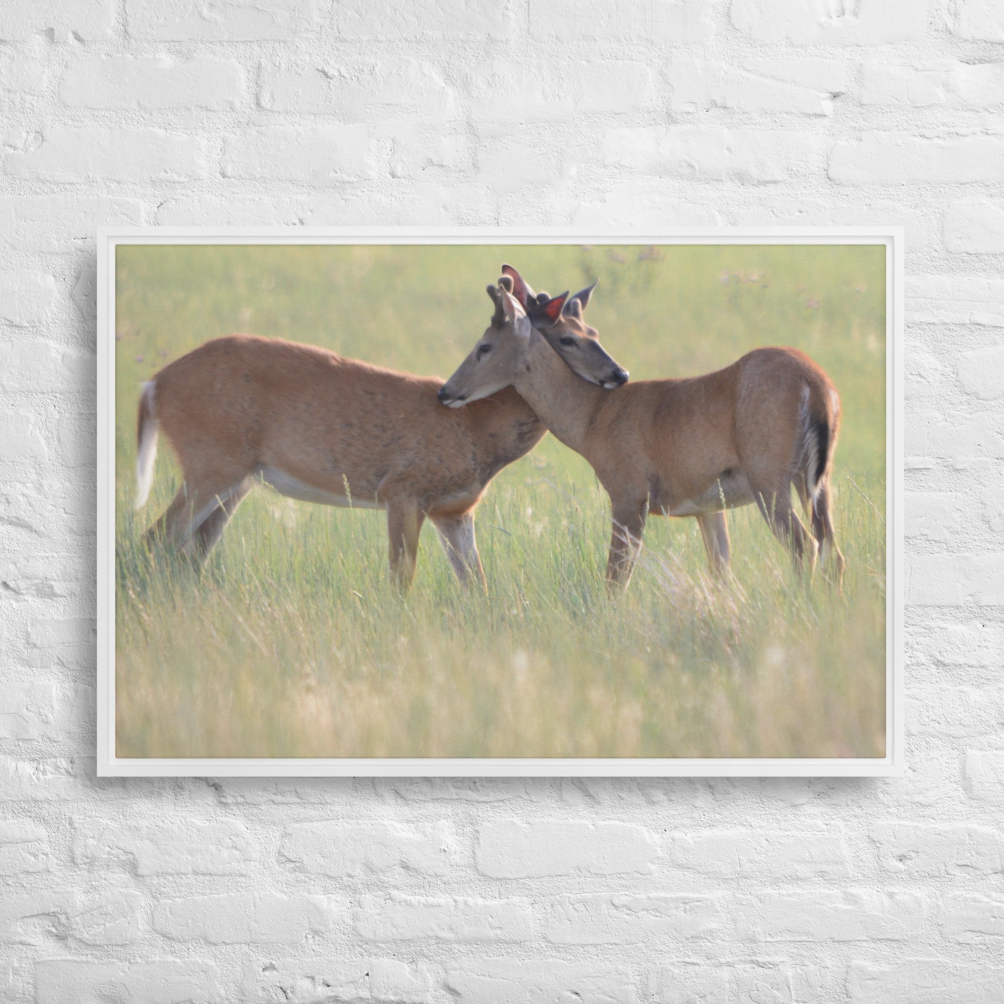 framed-canvas-(in)-white-24x36-front-65ee8b0f491c1.jpg