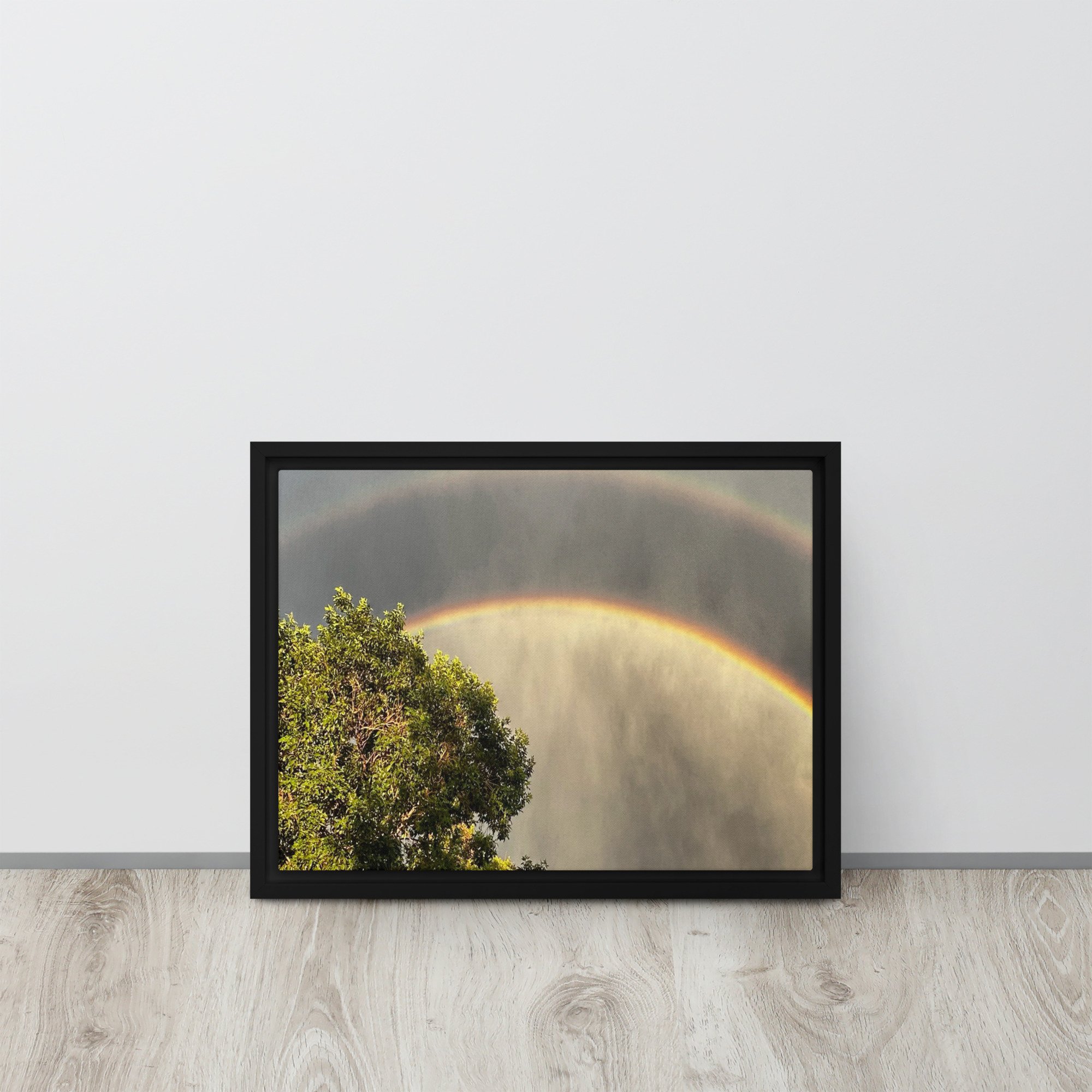 framed-canvas-(in)-black-12x16-front-65ee8c53ee1c4.jpg