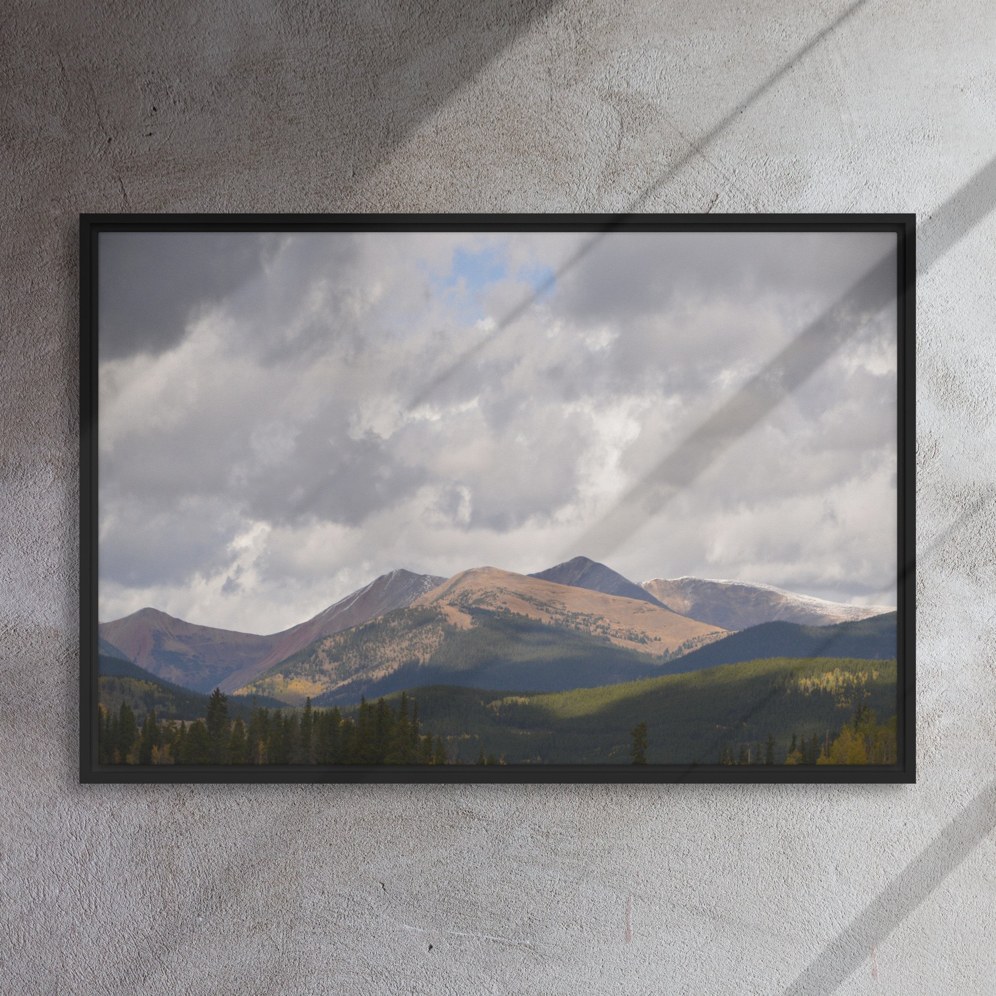 framed-canvas-(in)-black-24x36-front-65ee8cac92454.jpg