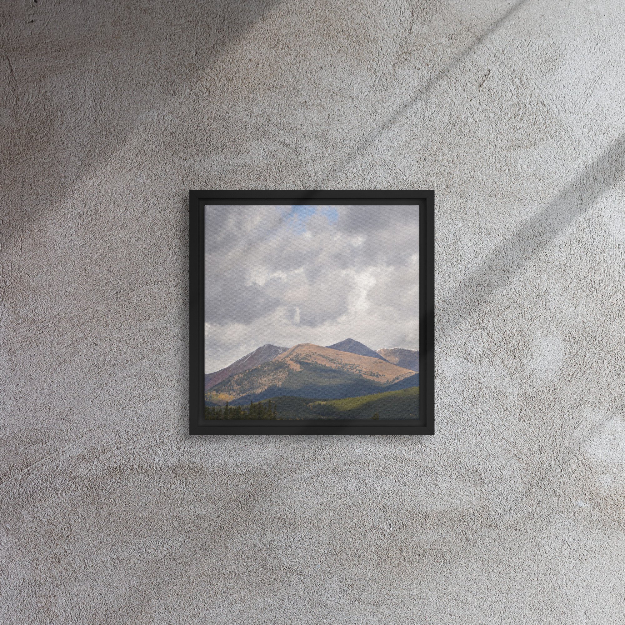 framed-canvas-(in)-black-12x12-front-65ee8cac93494.jpg
