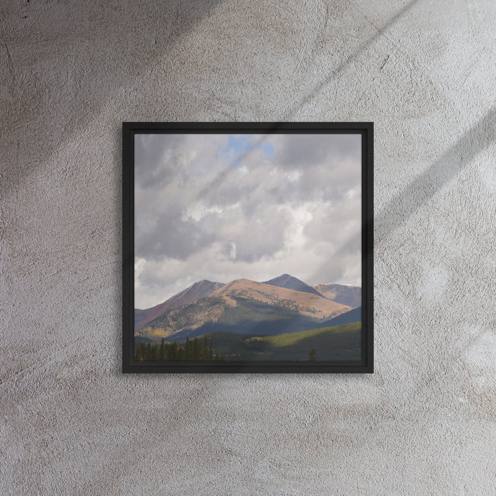 framed-canvas-(in)-black-16x16-front-65ee8cac9358d.jpg