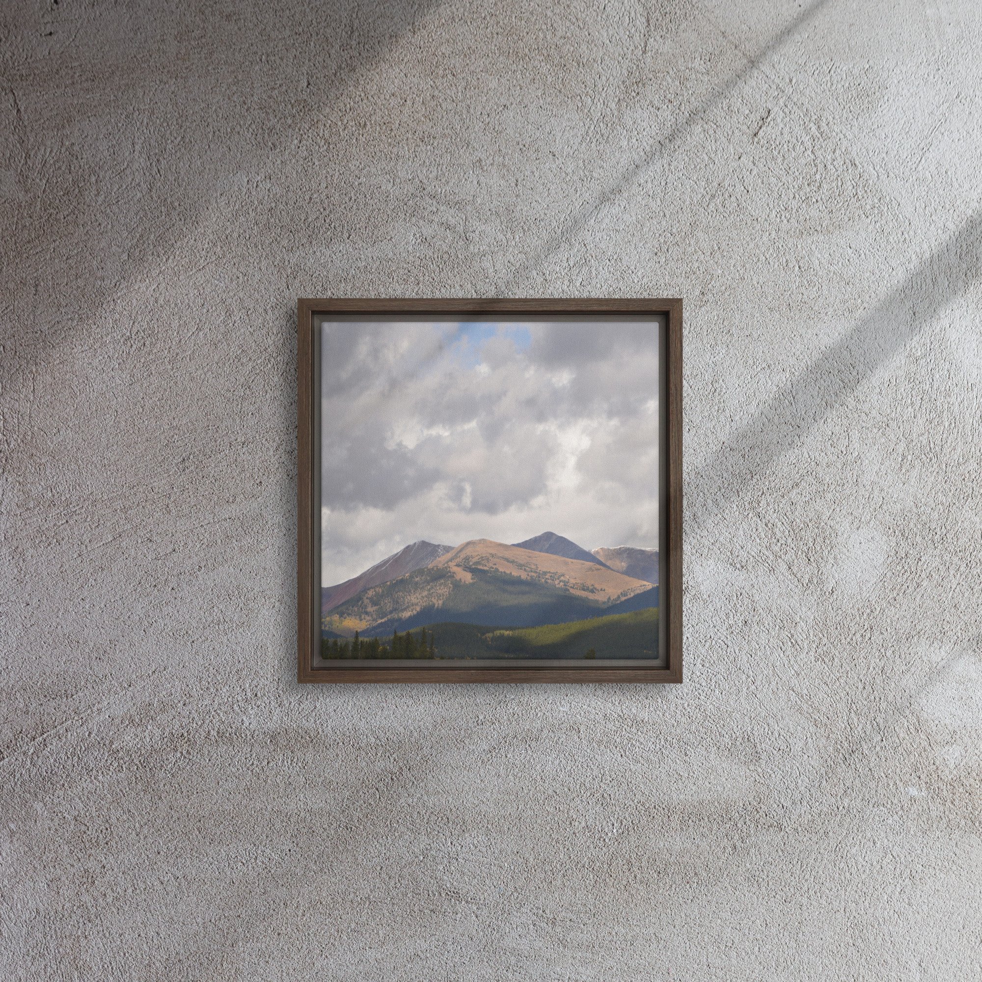 framed-canvas-(in)-brown-12x12-front-65ee8cac936f8.jpg