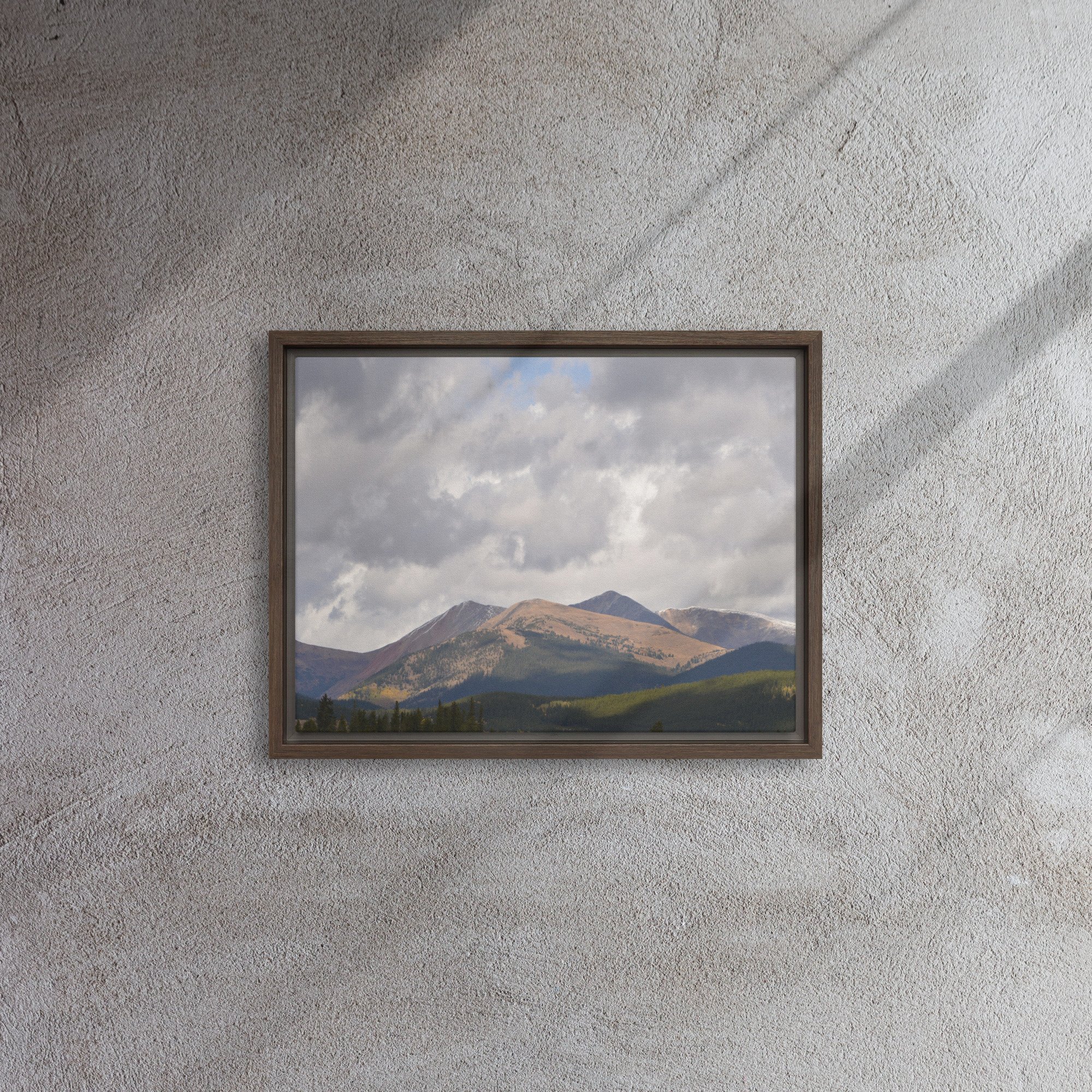 framed-canvas-(in)-brown-12x16-front-65ee8cac93746.jpg