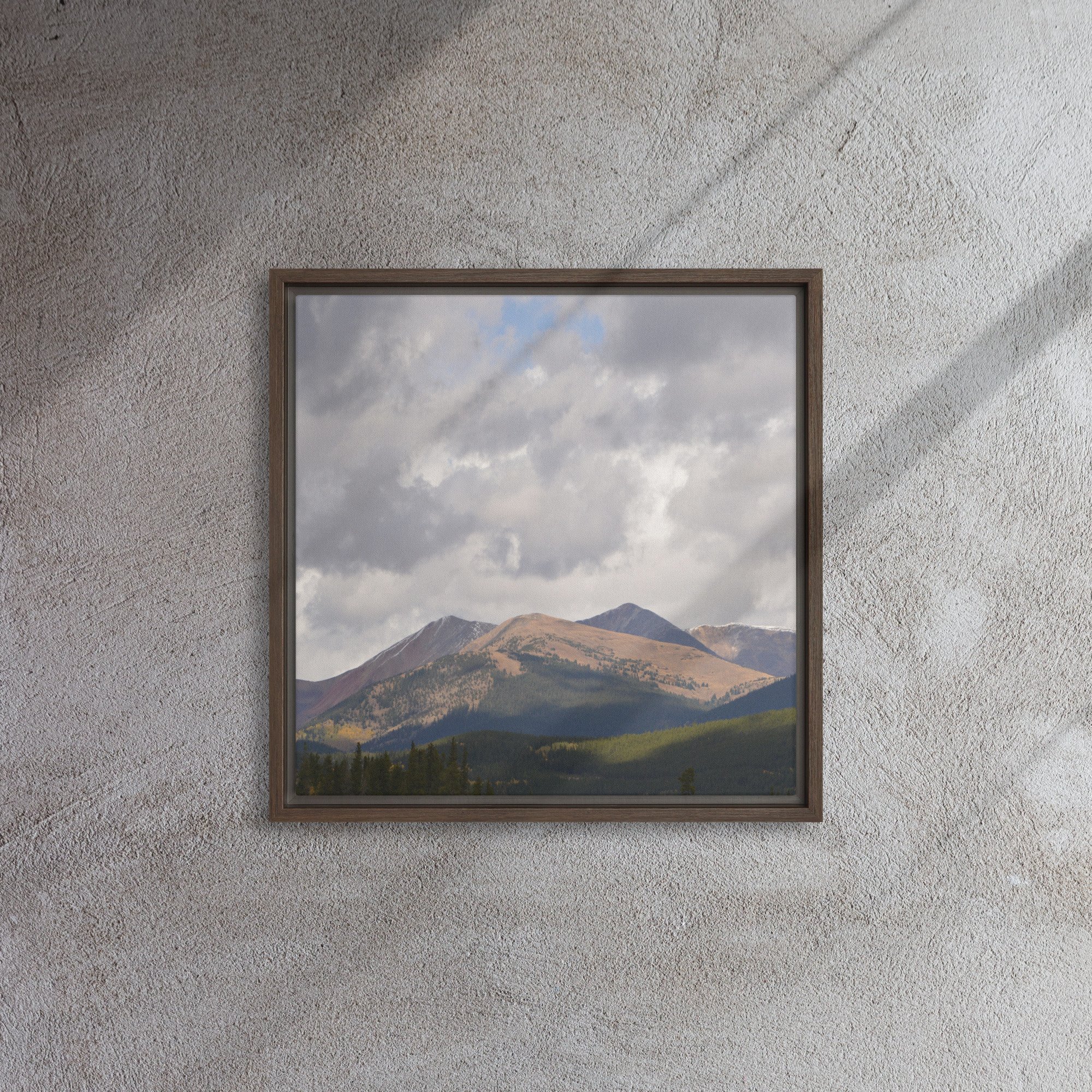 framed-canvas-(in)-brown-16x16-front-65ee8cac9378c.jpg