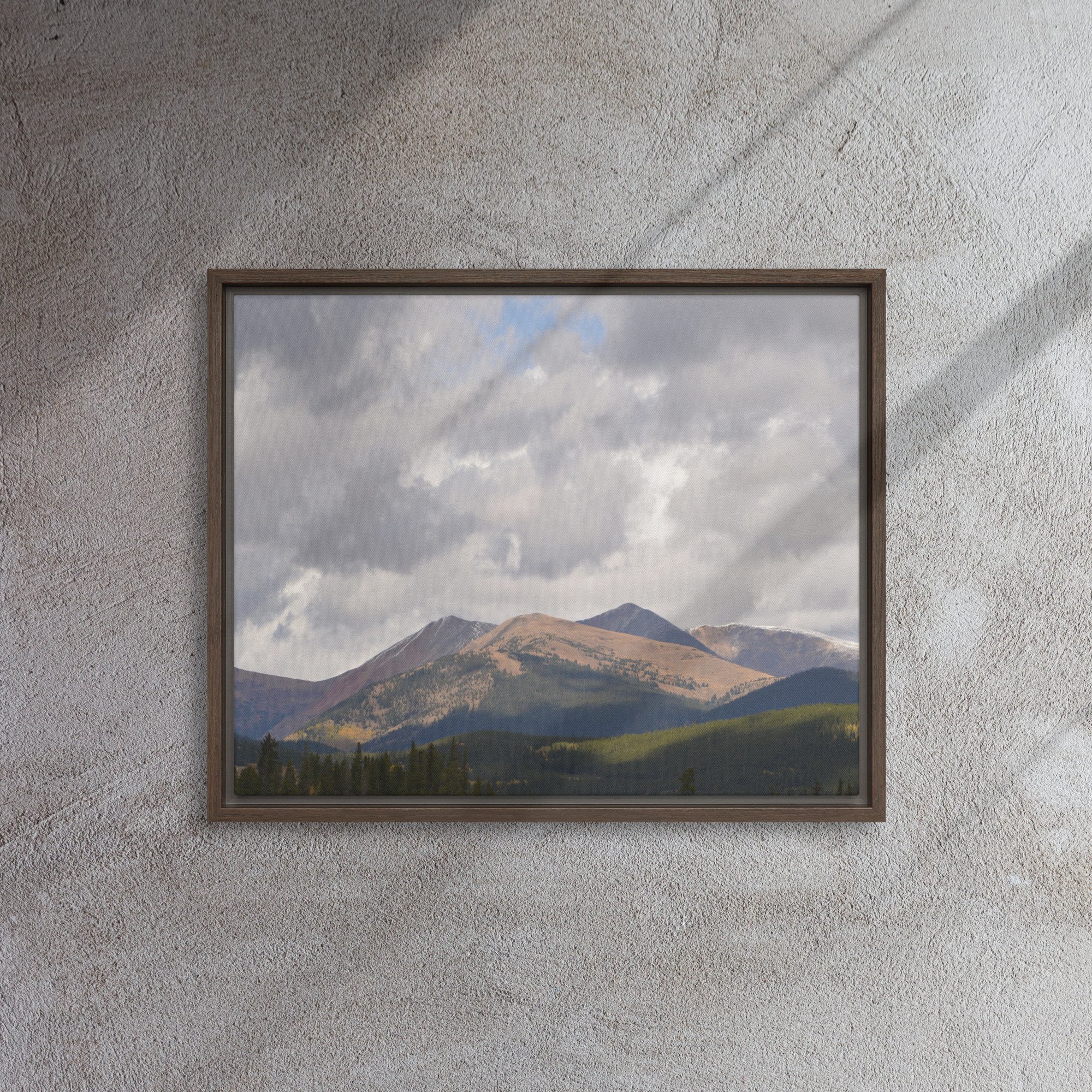 framed-canvas-(in)-brown-16x20-front-65ee8cac937d1.jpg