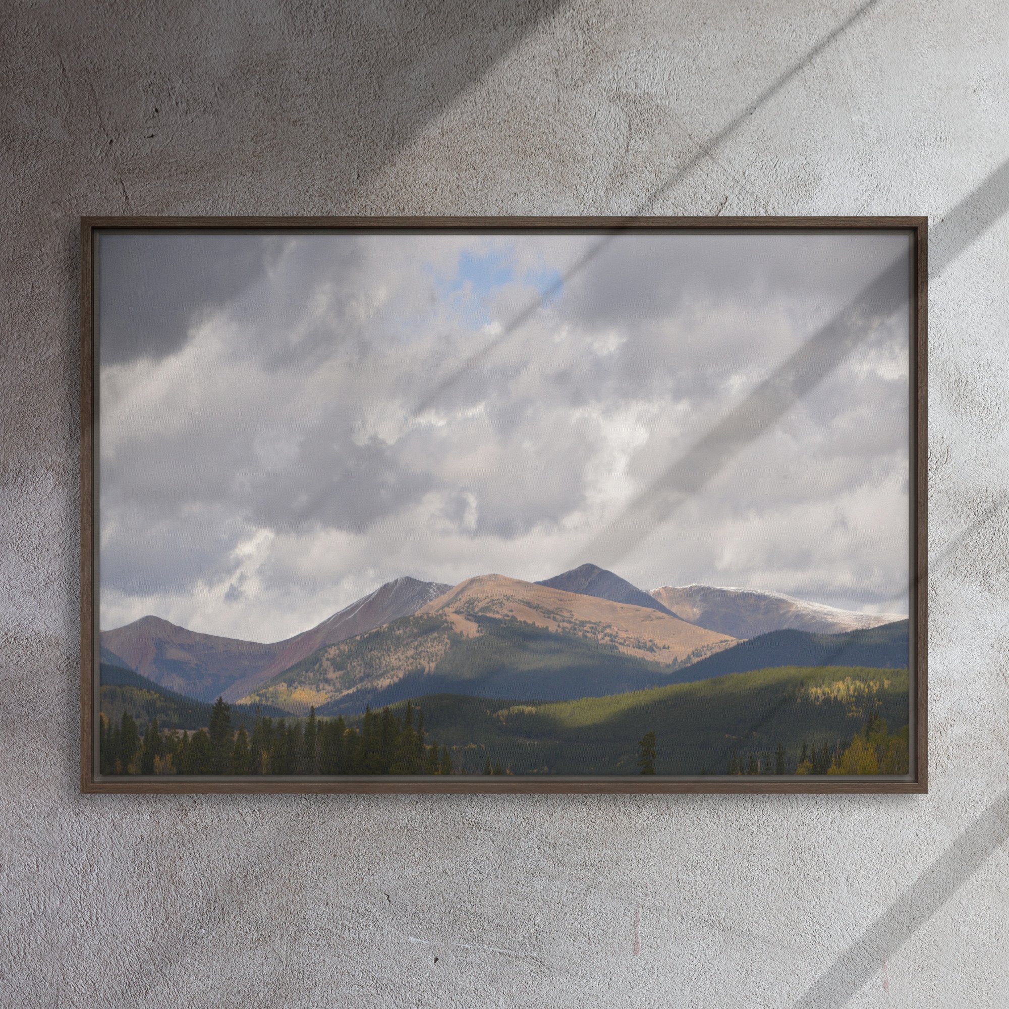 framed-canvas-(in)-brown-24x36-front-65ee8cac93855.jpg