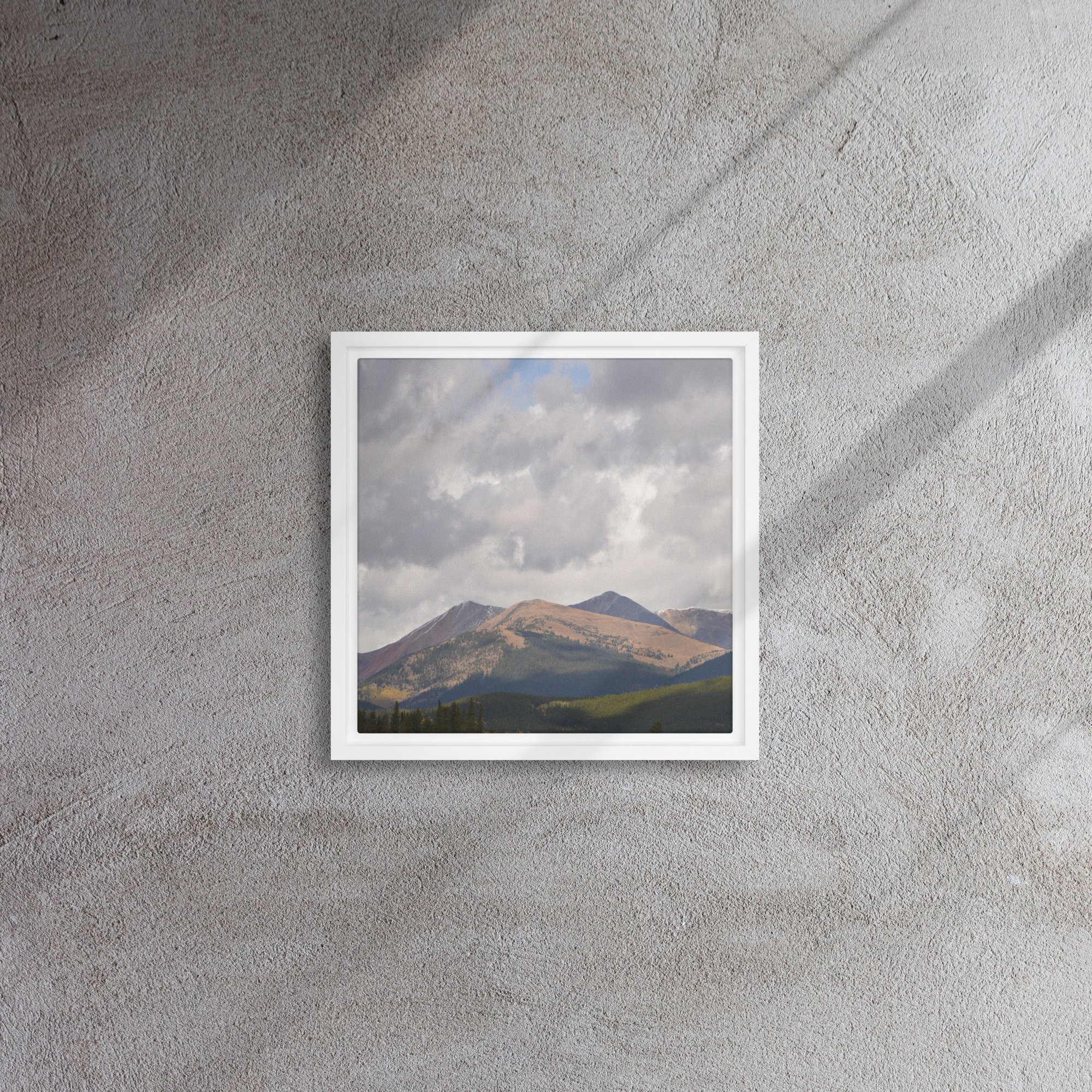 framed-canvas-(in)-white-12x12-front-65ee8cac93895.jpg