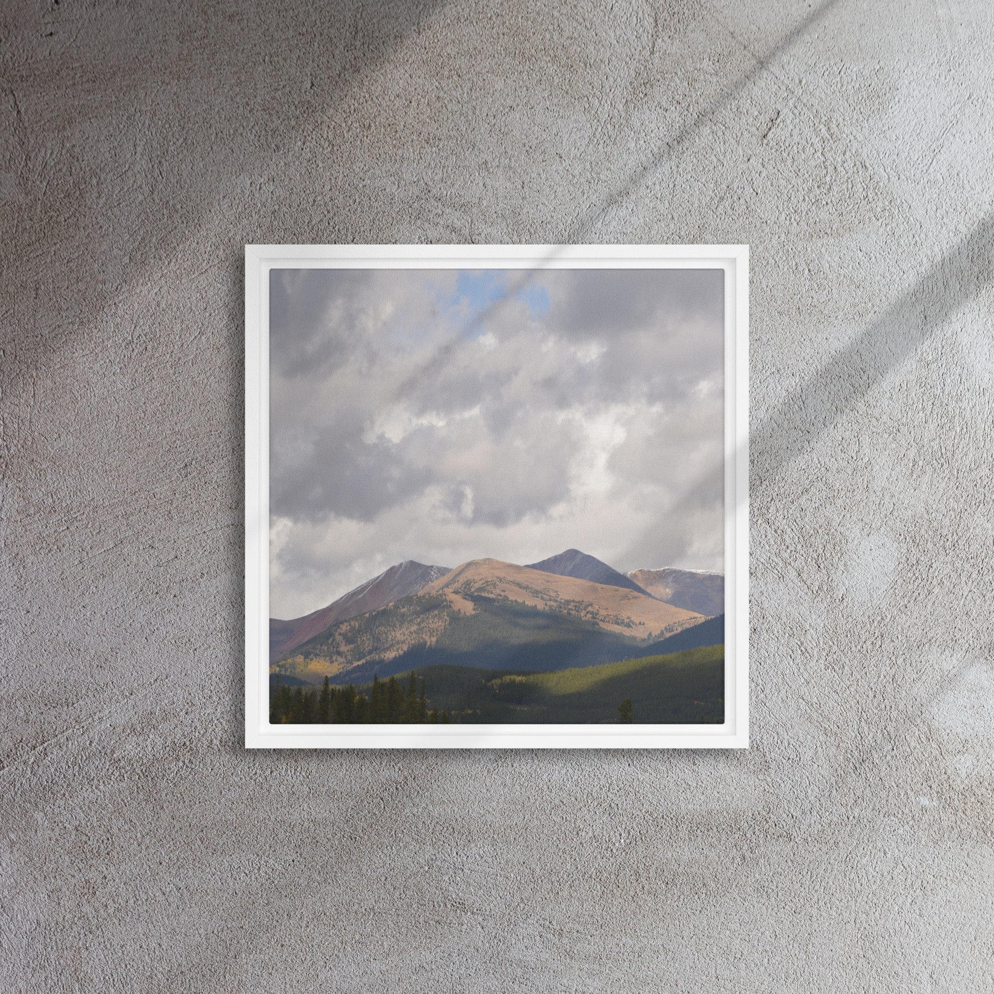 framed-canvas-(in)-white-16x16-front-65ee8cac9392e.jpg
