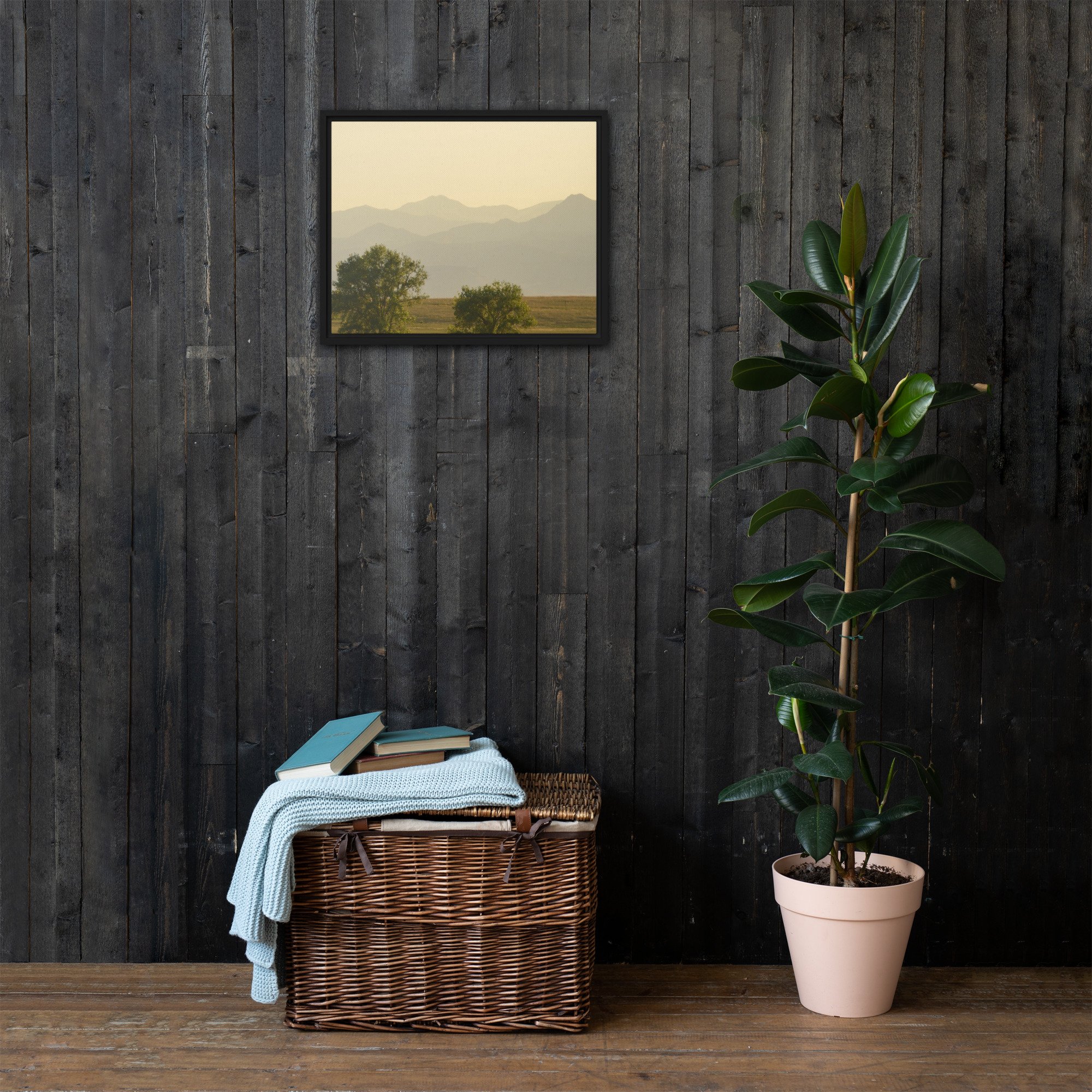 framed-canvas-(in)-black-16x20-front-65ee8cffd755b.jpg