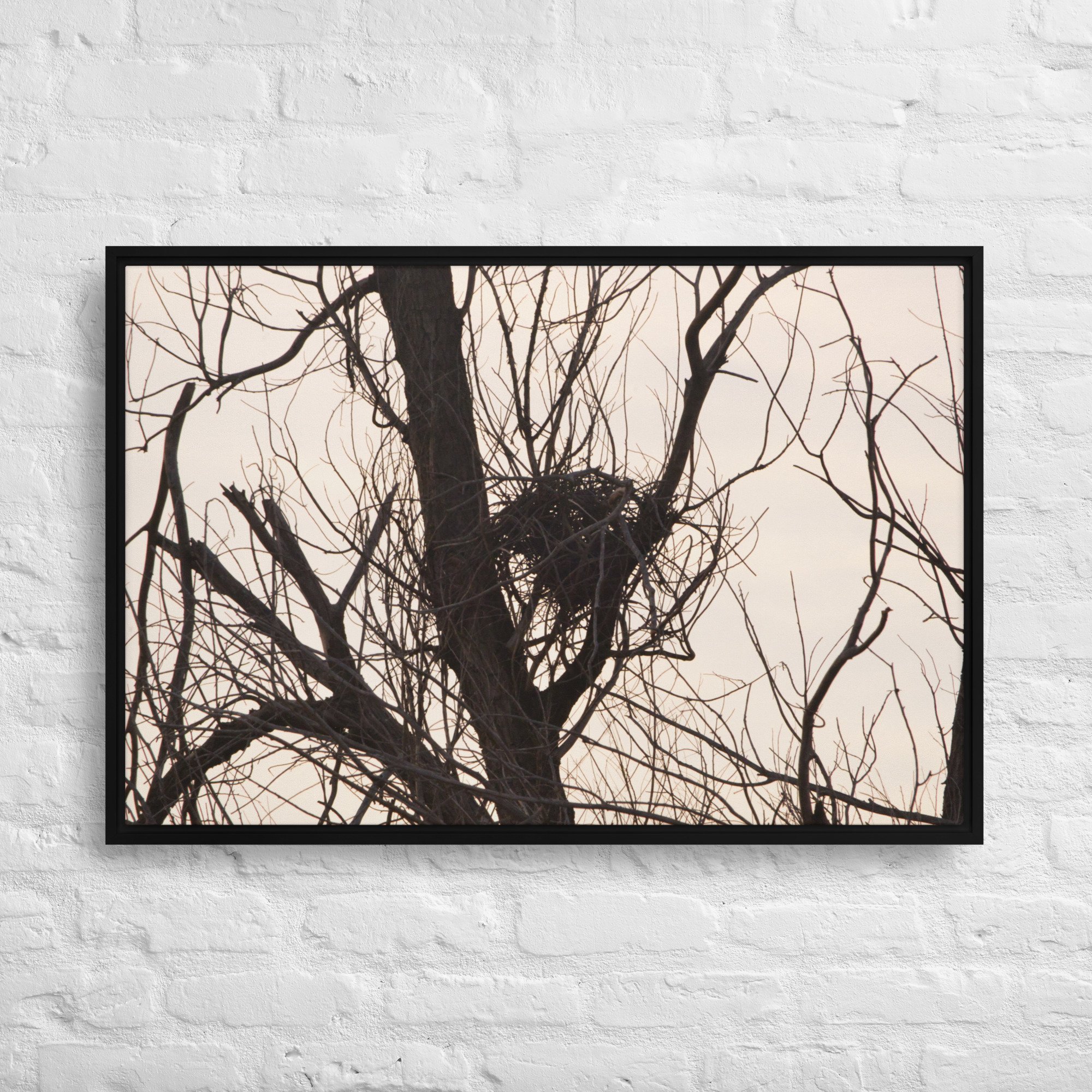 framed-canvas-(in)-black-24x36-front-65ee8d5b69f52.jpg